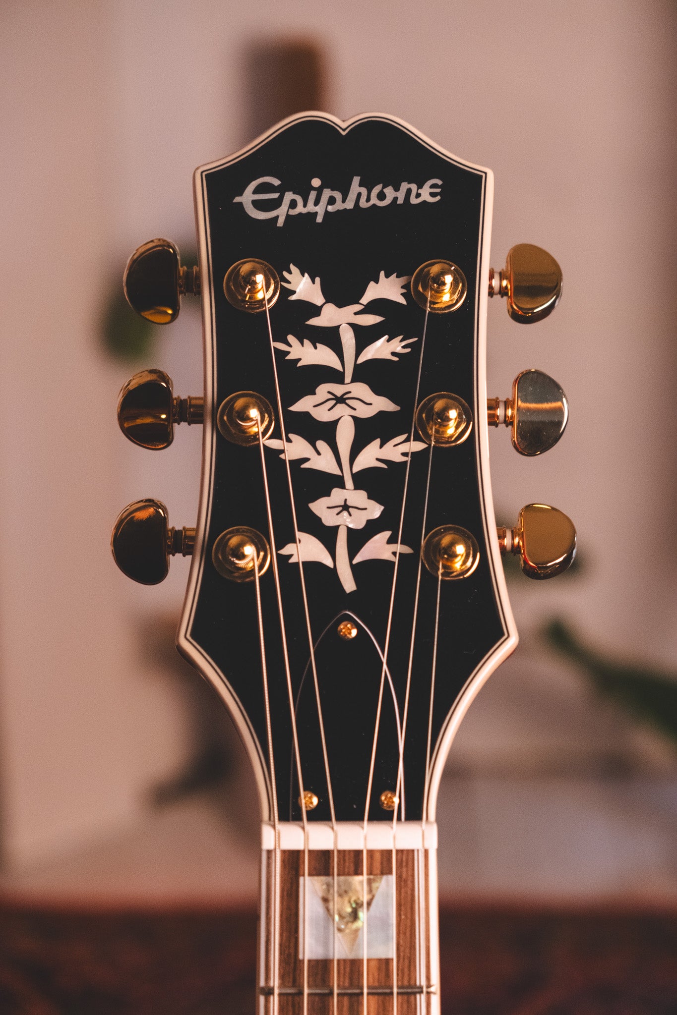 Epiphone 150th Anniversary Sheraton Cherry Headstock with Tree of Life