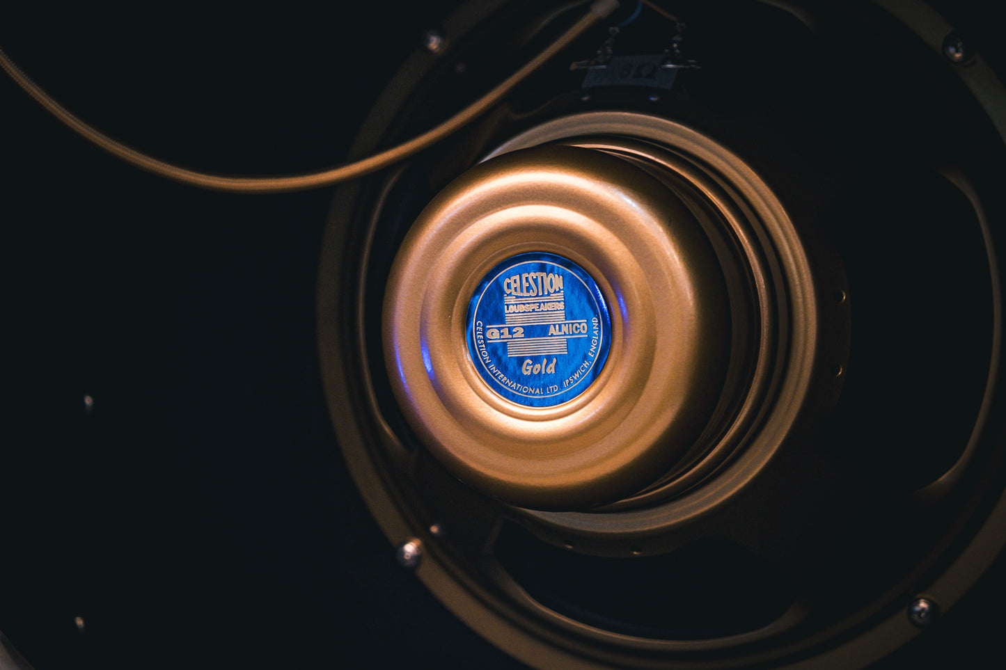 Duesenberg 'Berlin' Amplifier