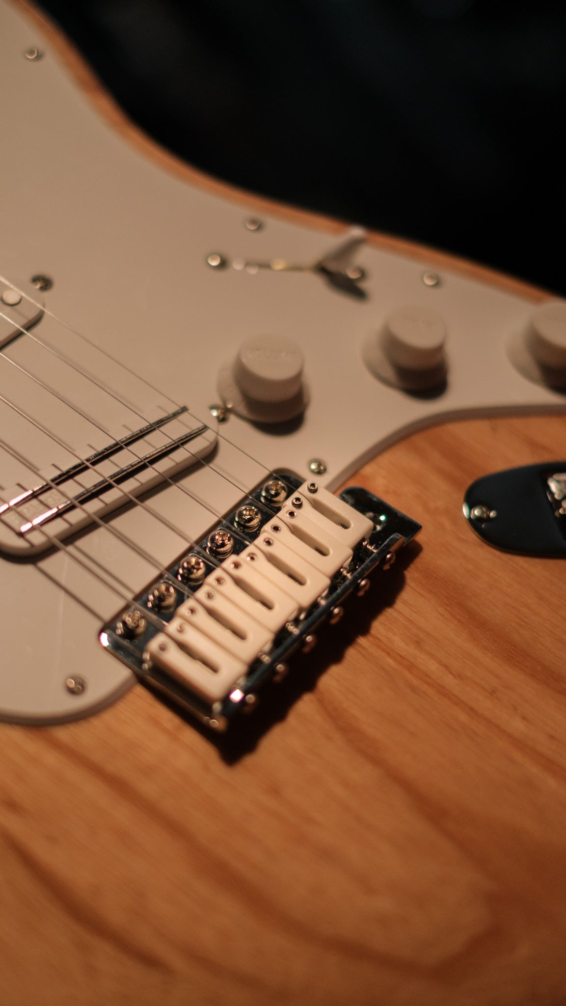 Fender Limited Edition Mark Speer Stratocaster Natural