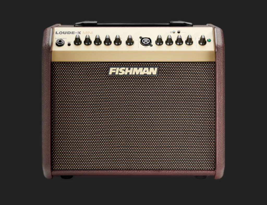Fishman Loudbox Mini