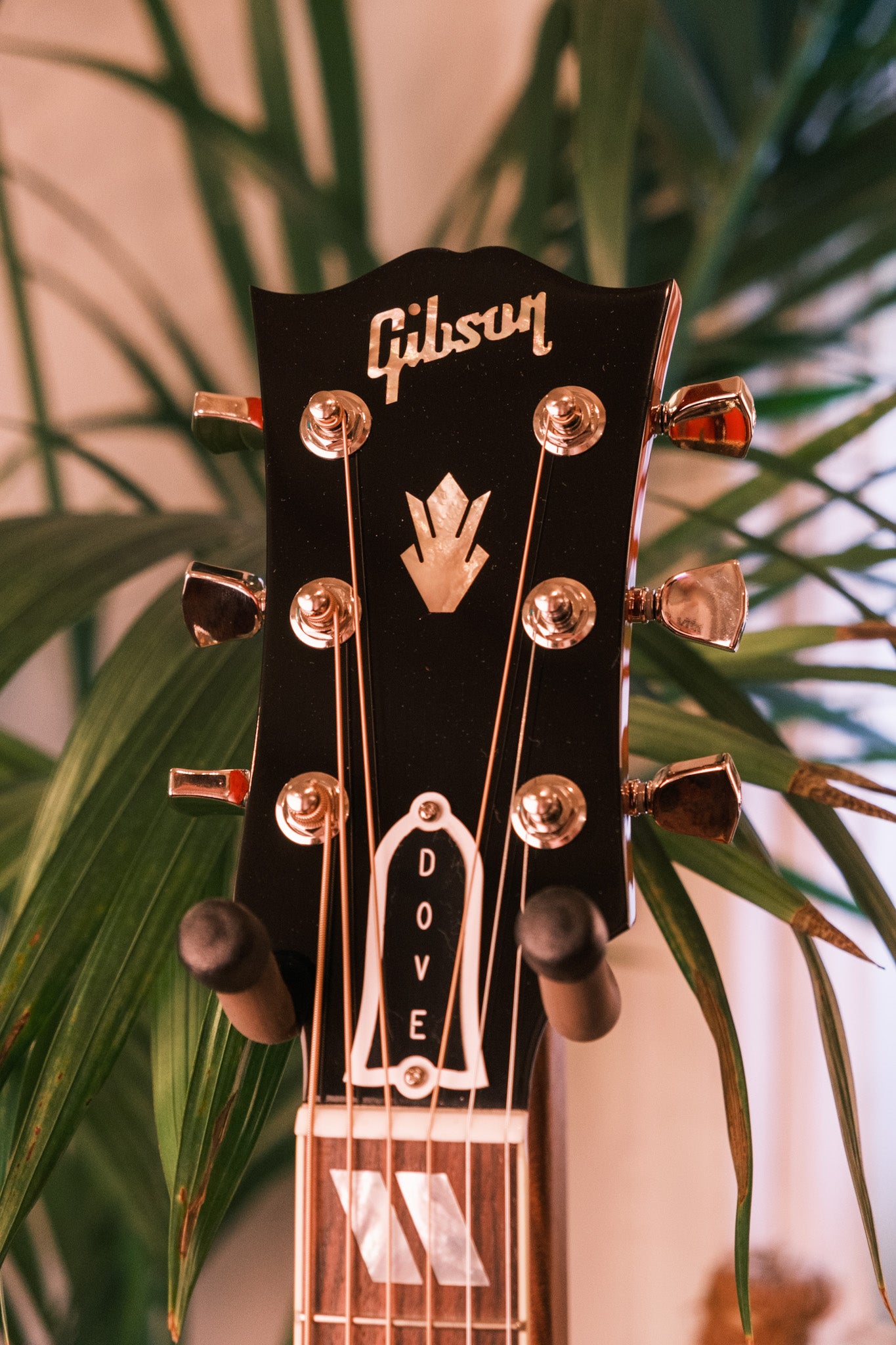 Gibson Dove Original Vintage Cherry Sunburst