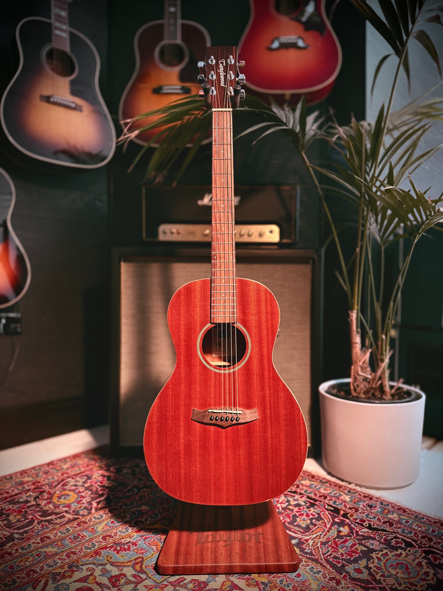 Pre Loved, Left Handed Tanglewood TW3E Parlour