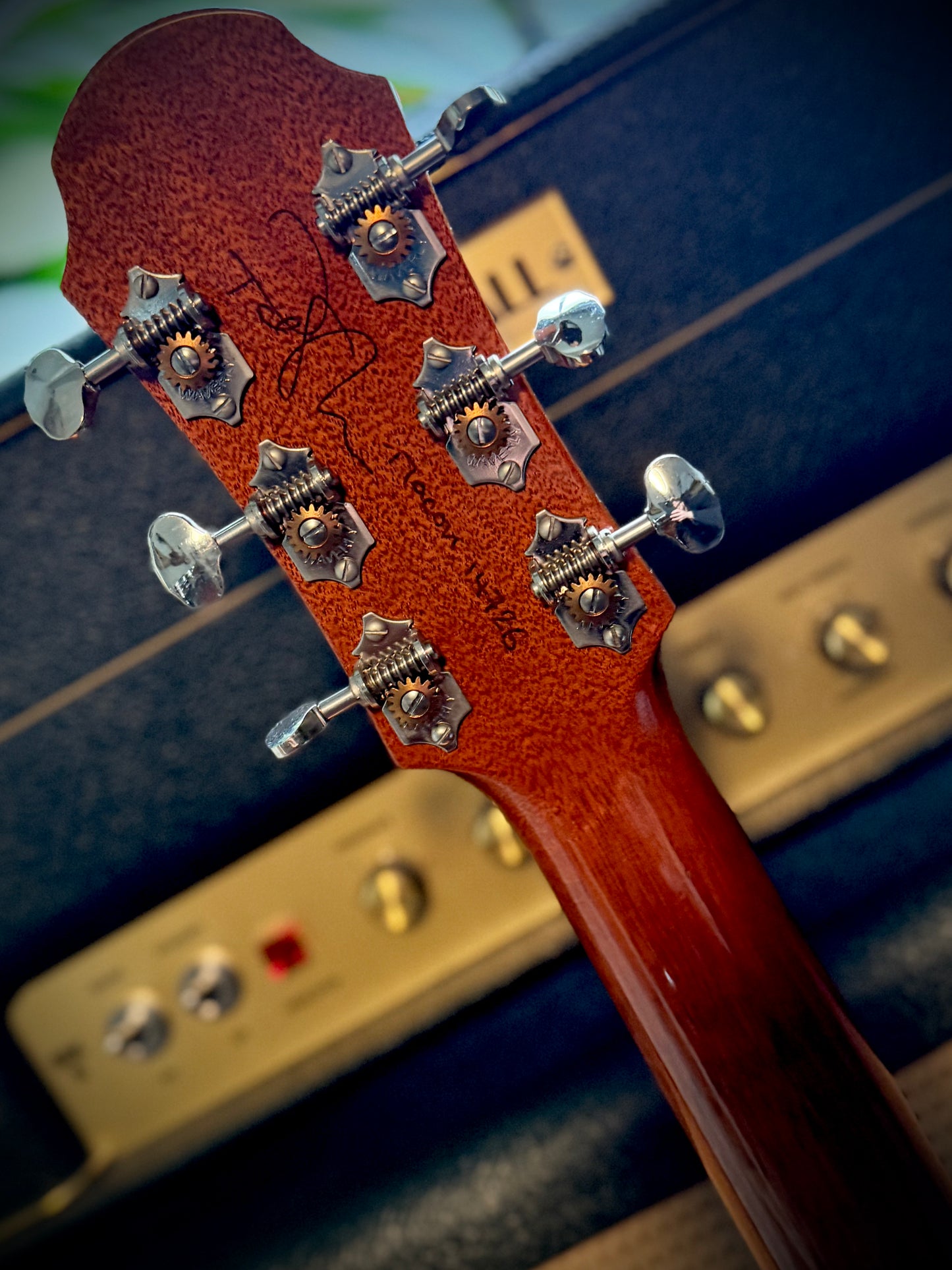 PRE-LOVED Patrick James Eggle Macon Double Cut, Claro Walnut.