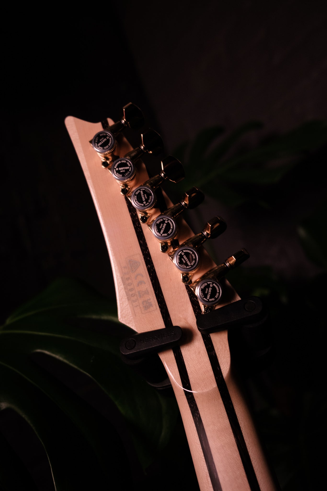 Ibanez J Custom RG8570EM-NT, Natural