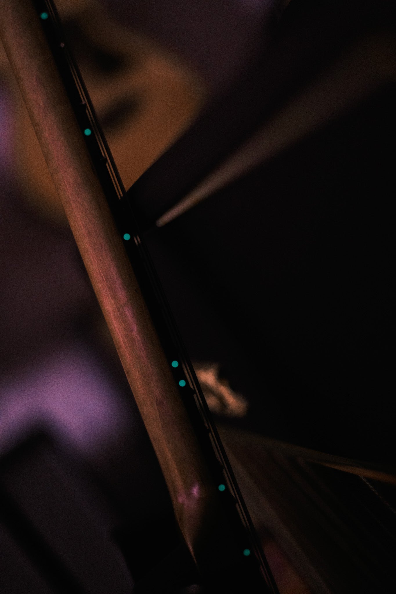 Patrick James Eggle OZ-T Carve Top Thinline Black #31226