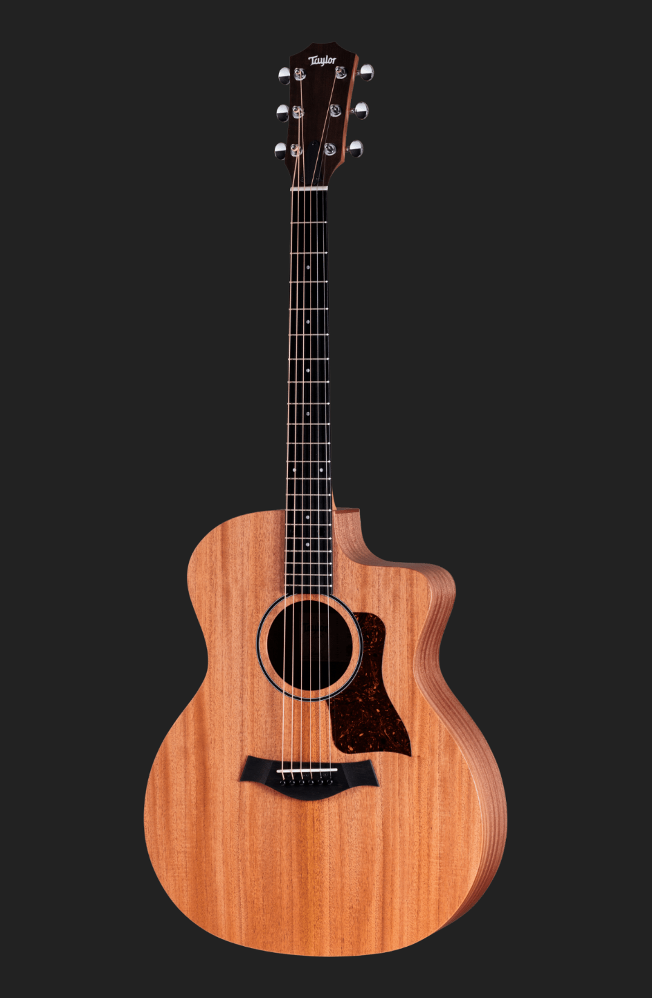 Taylor 24ce