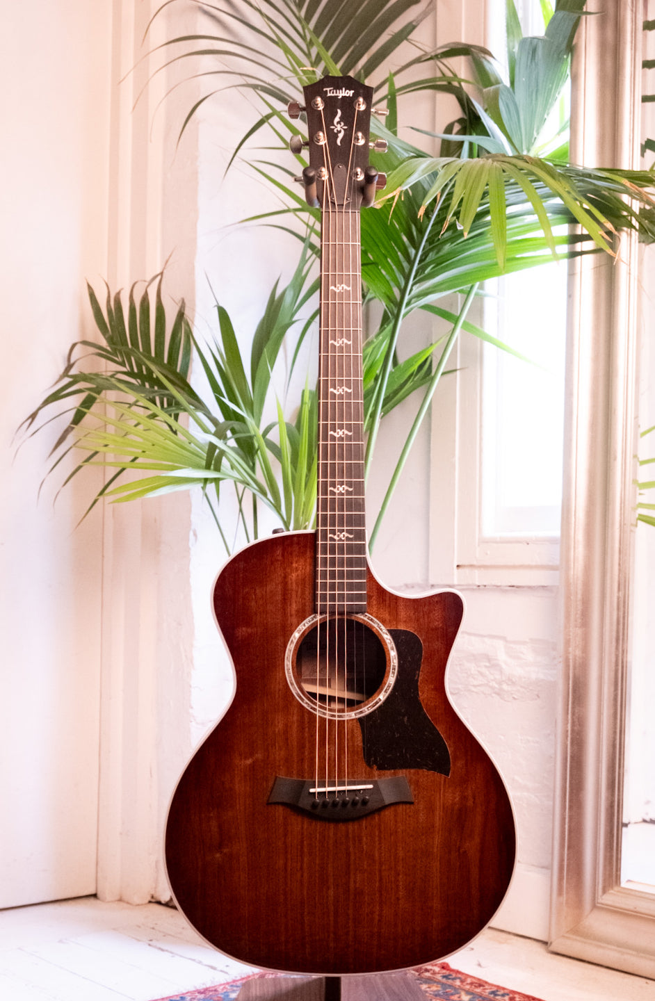 Taylor 424ce Special Edition Walnut Shaded Edge Burst