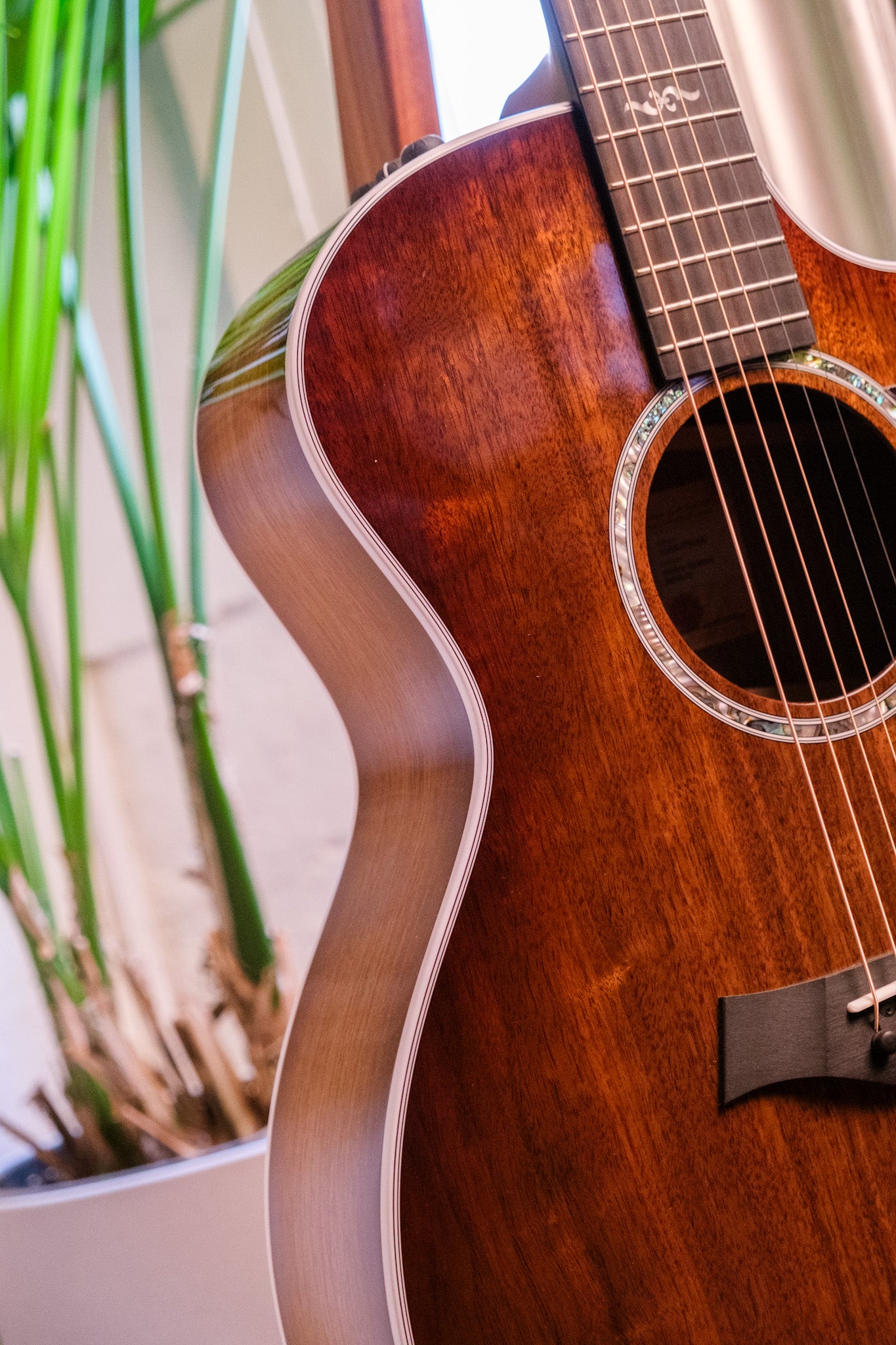 Taylor 424ce Special Edition Walnut Shaded Edge Burst