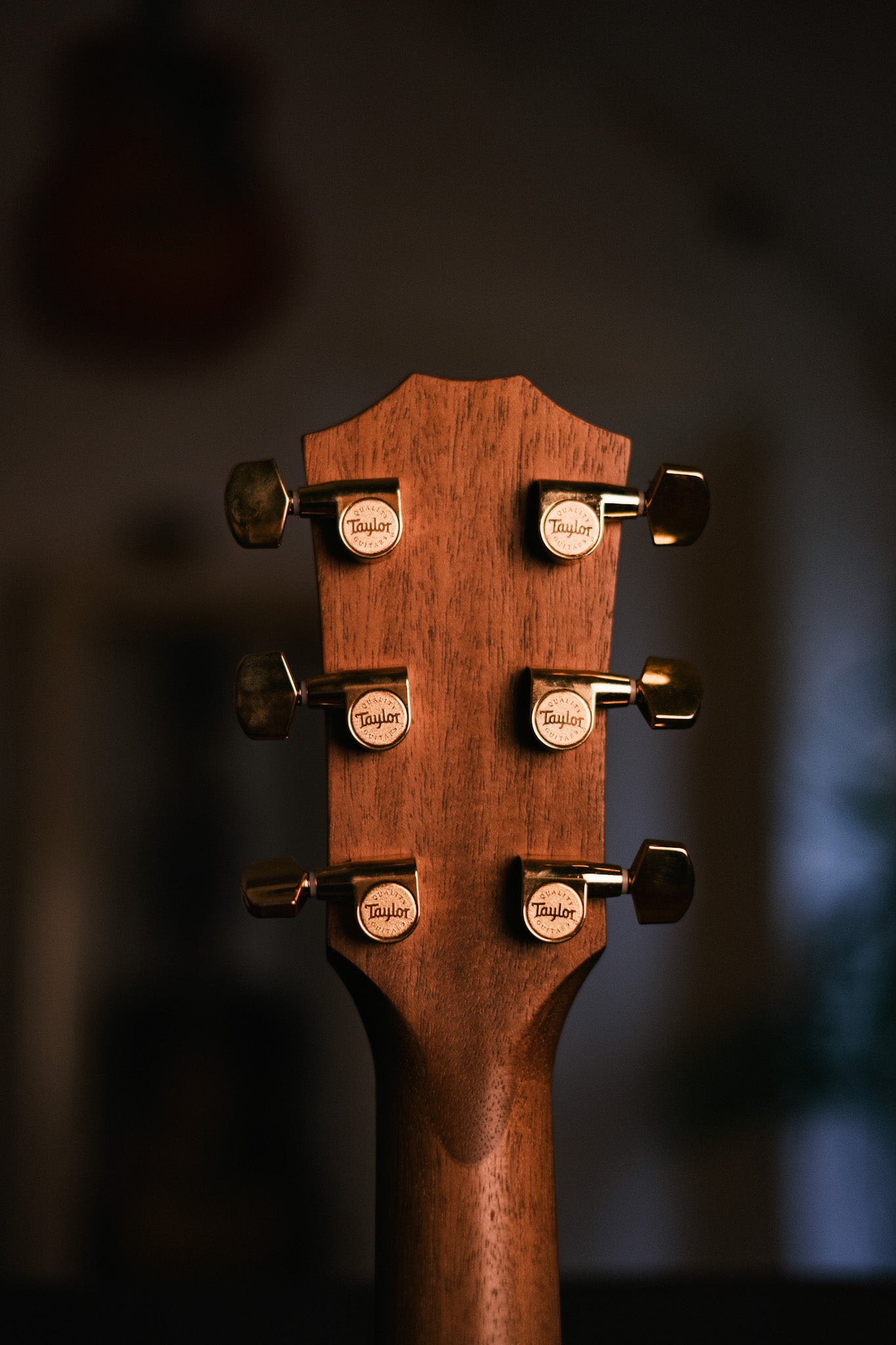 Taylor 50th Anniversary American Dream AD14ce-SB LTD