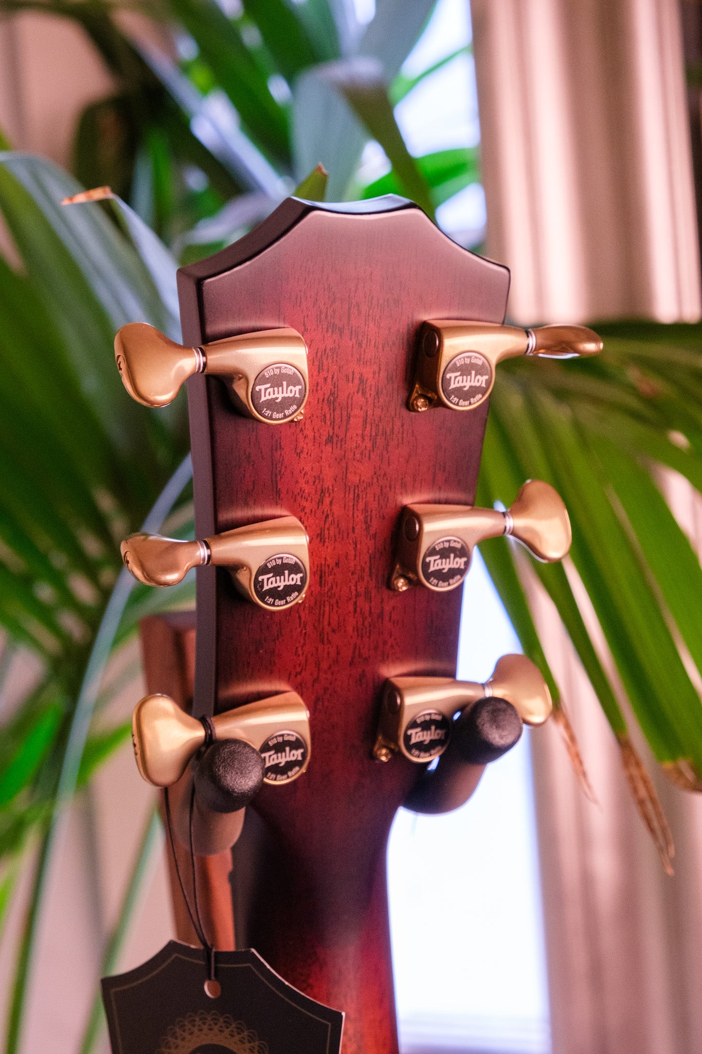 Taylor 50th Anniversary Builder's Edition 314ce LTD