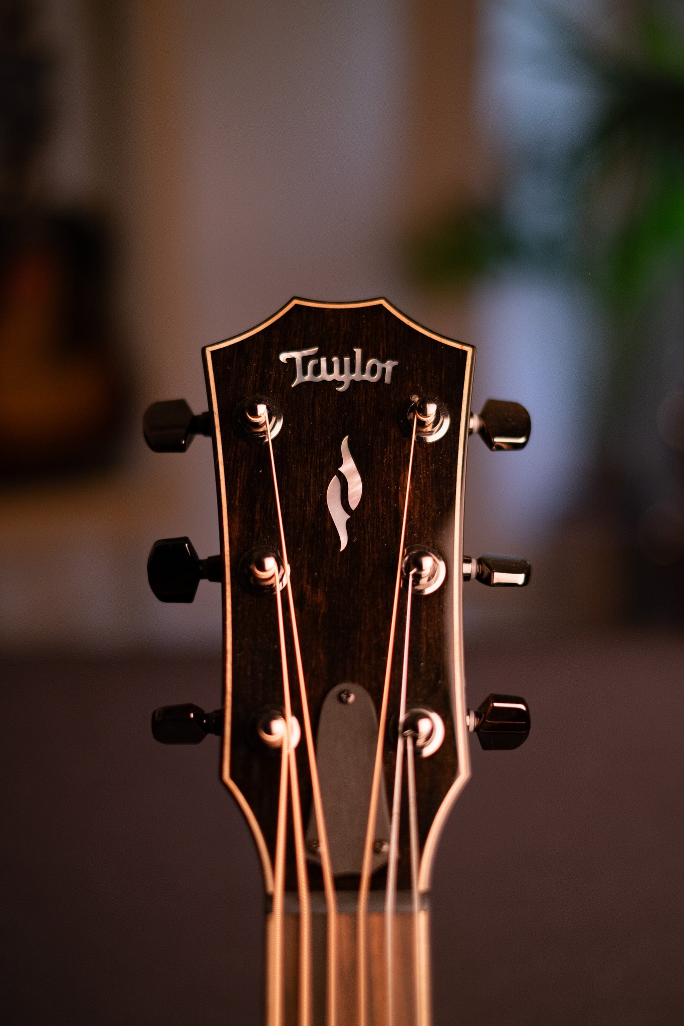 Taylor 814ce Grand Auditorium
