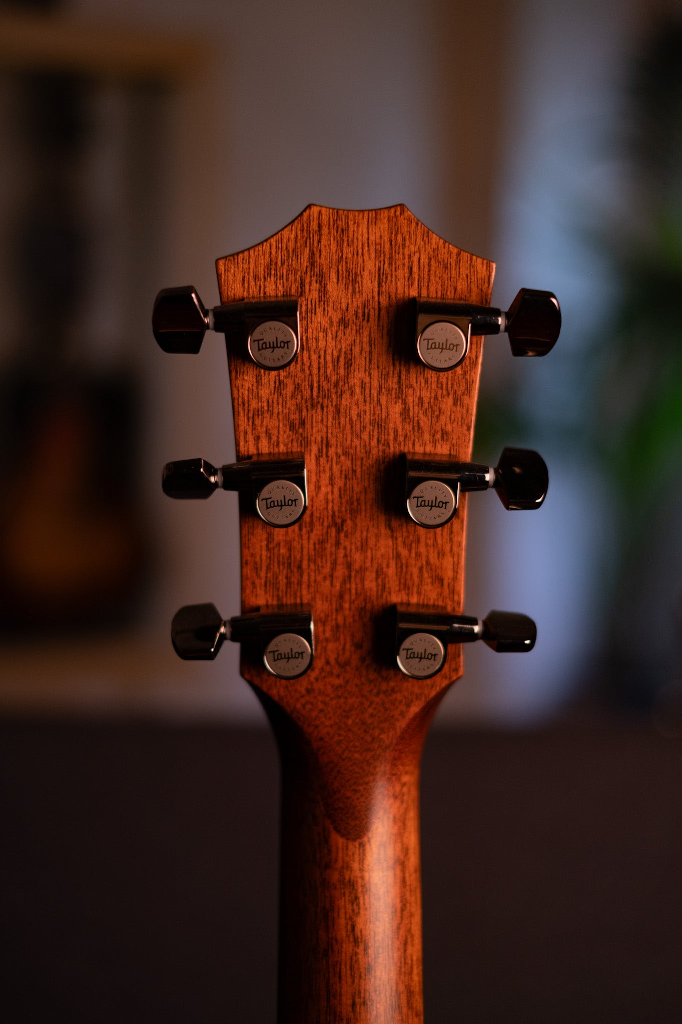 Taylor 814ce Grand Auditorium
