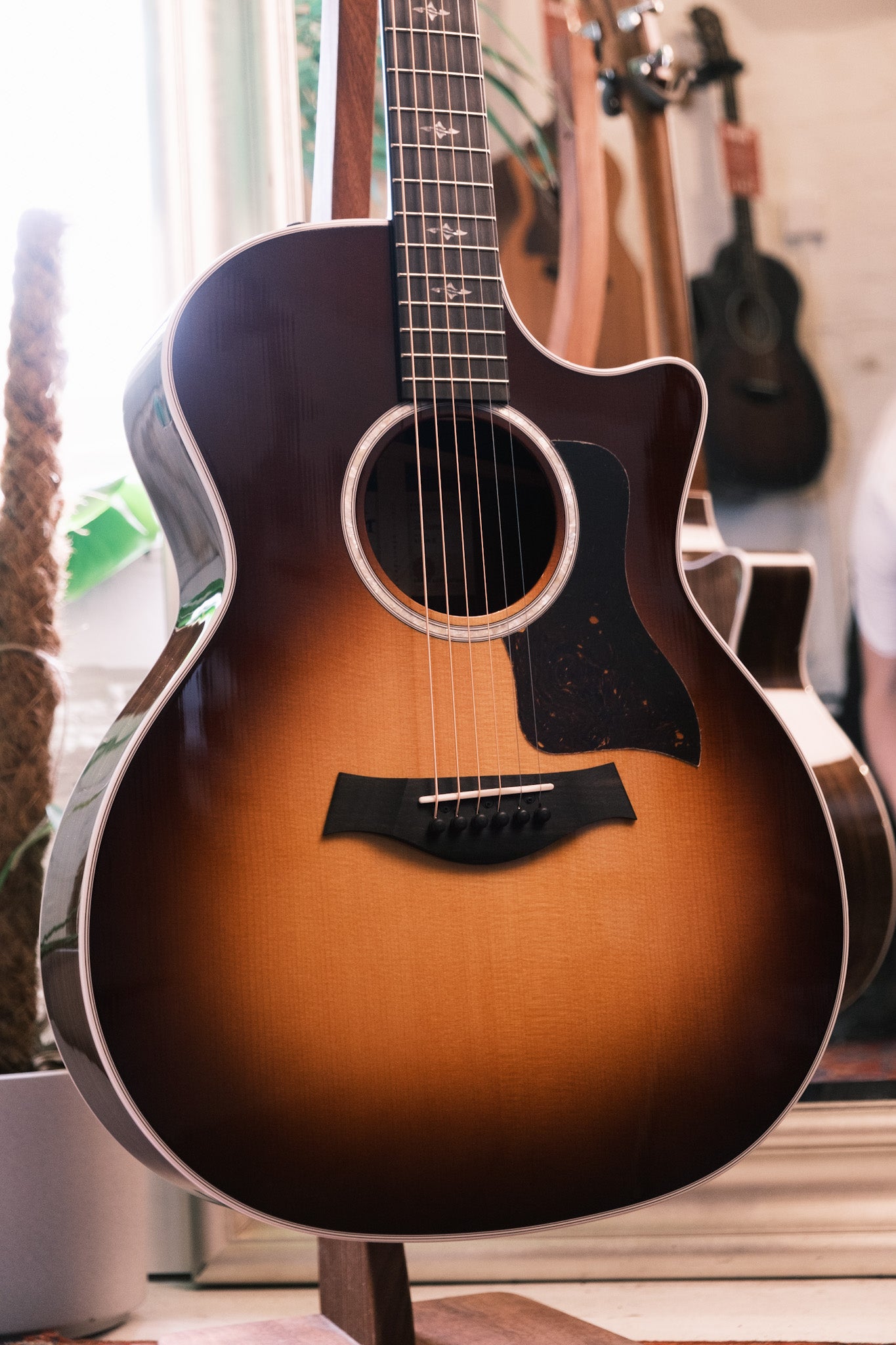 Taylor 414ce-R Grand Auditorium Tobacco Sunburst Top