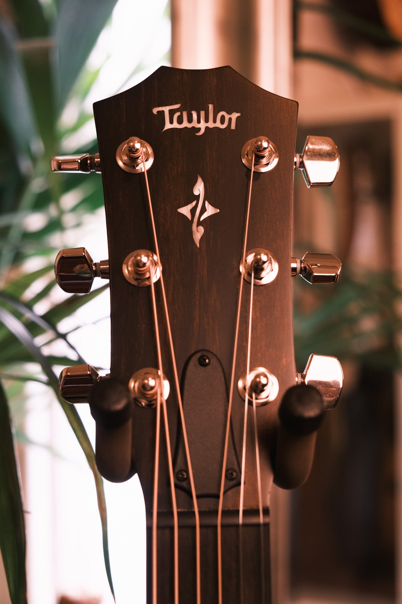 Taylor 414ce-R Grand Auditorium Tobacco Sunburst Top