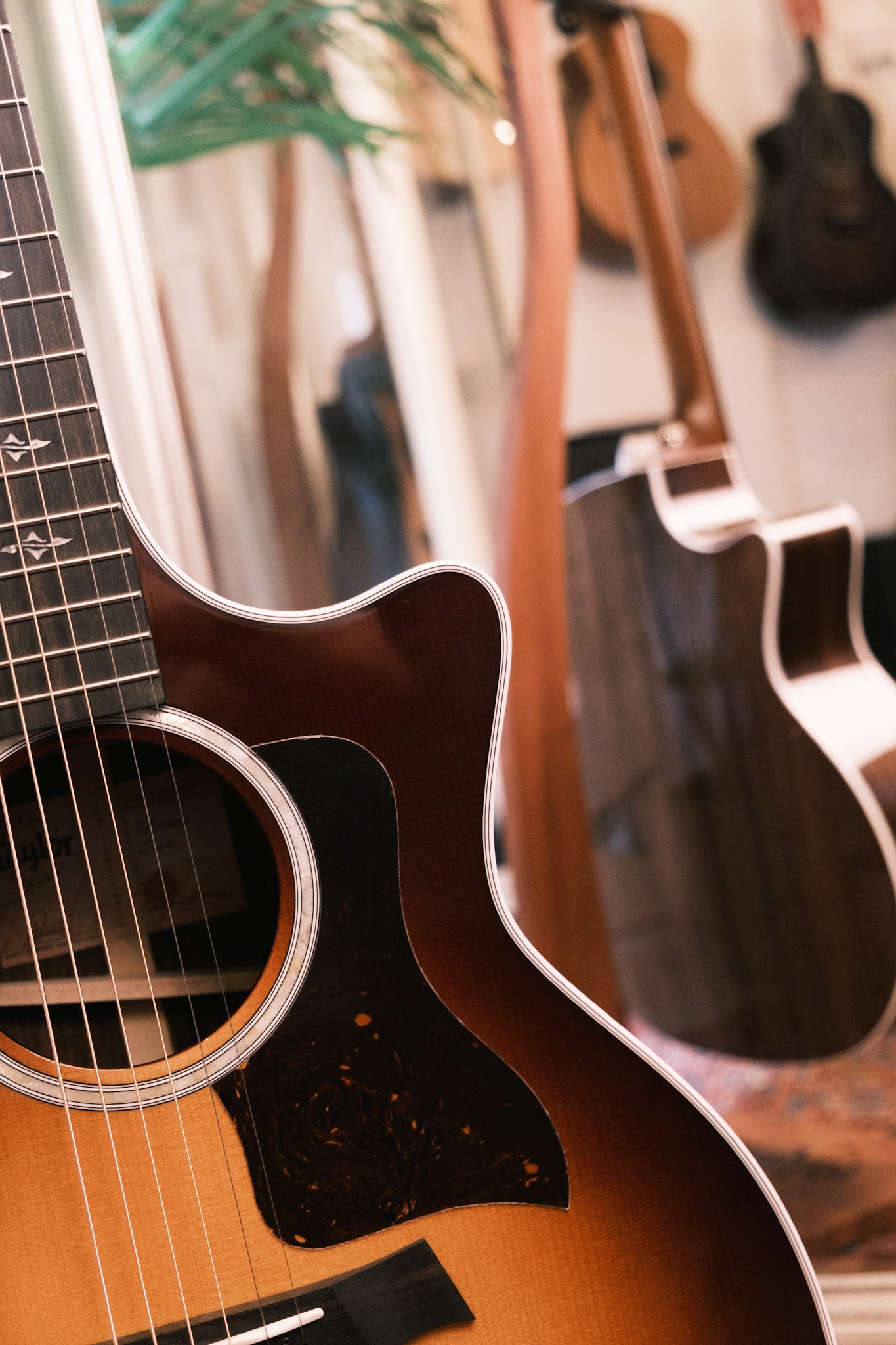 Taylor 414ce-R Grand Auditorium Tobacco Sunburst Top