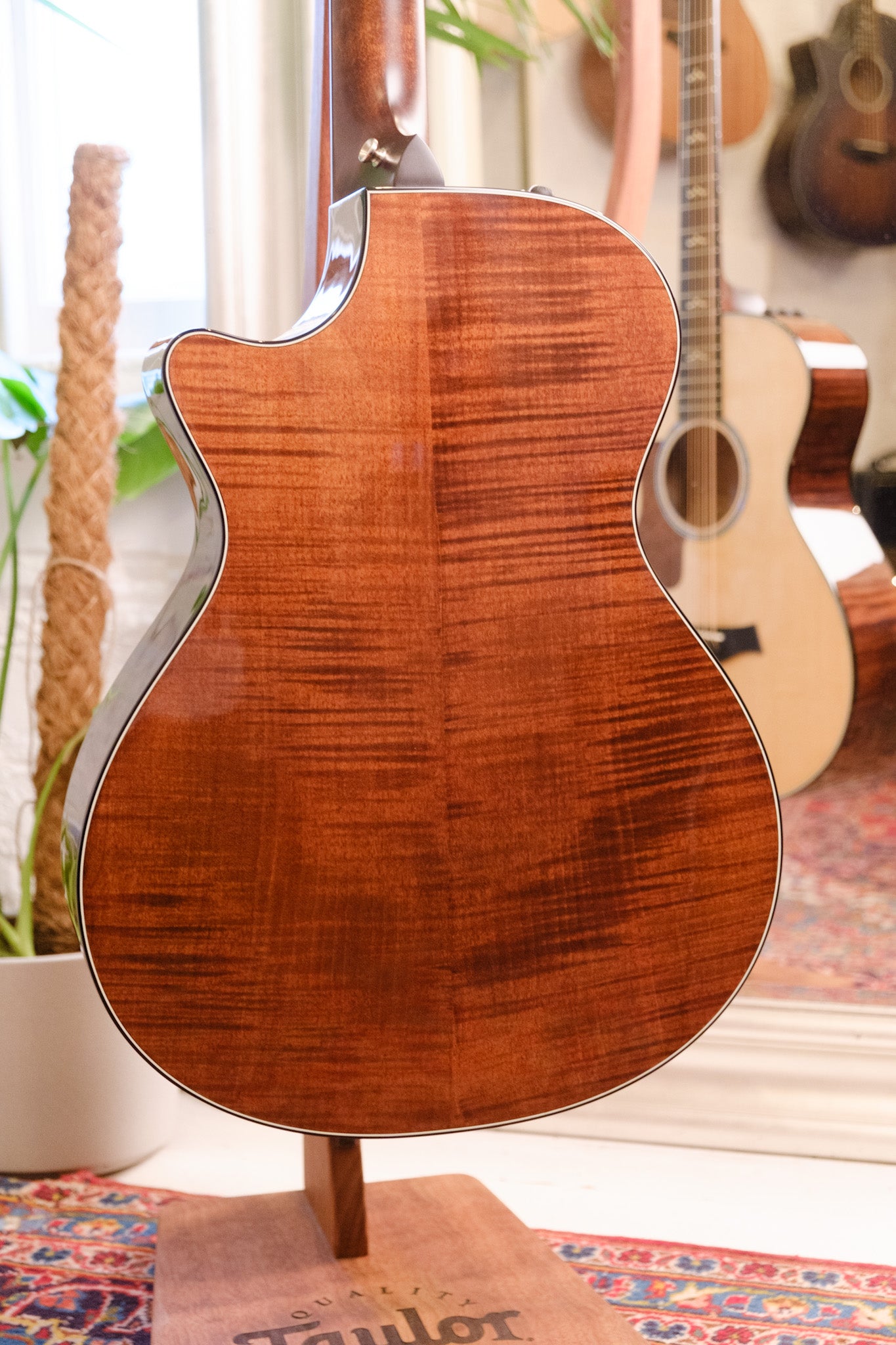 Taylor 612ce 12 Fret Grand Concert