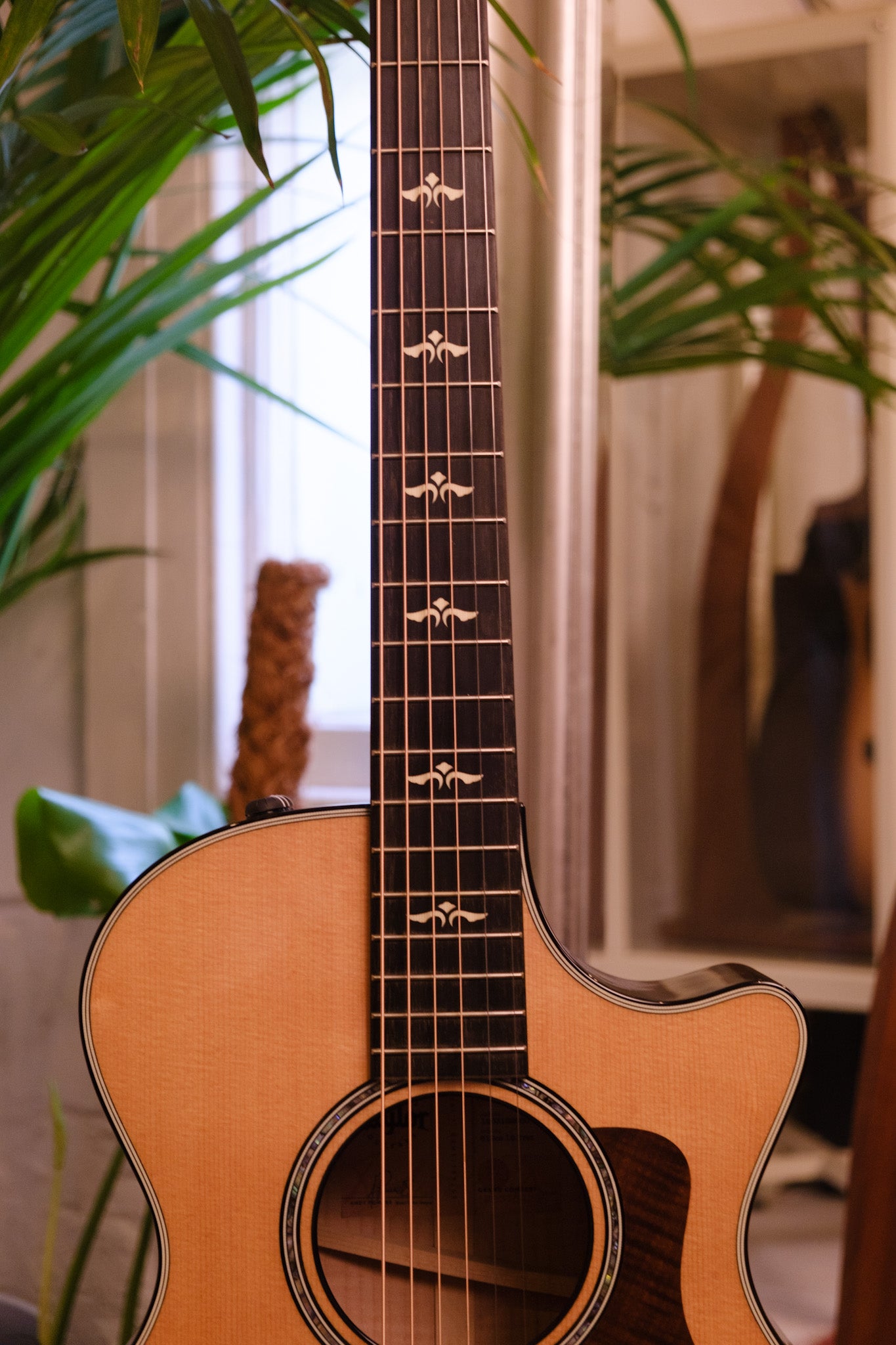 Taylor 612ce 12 Fret Grand Concert