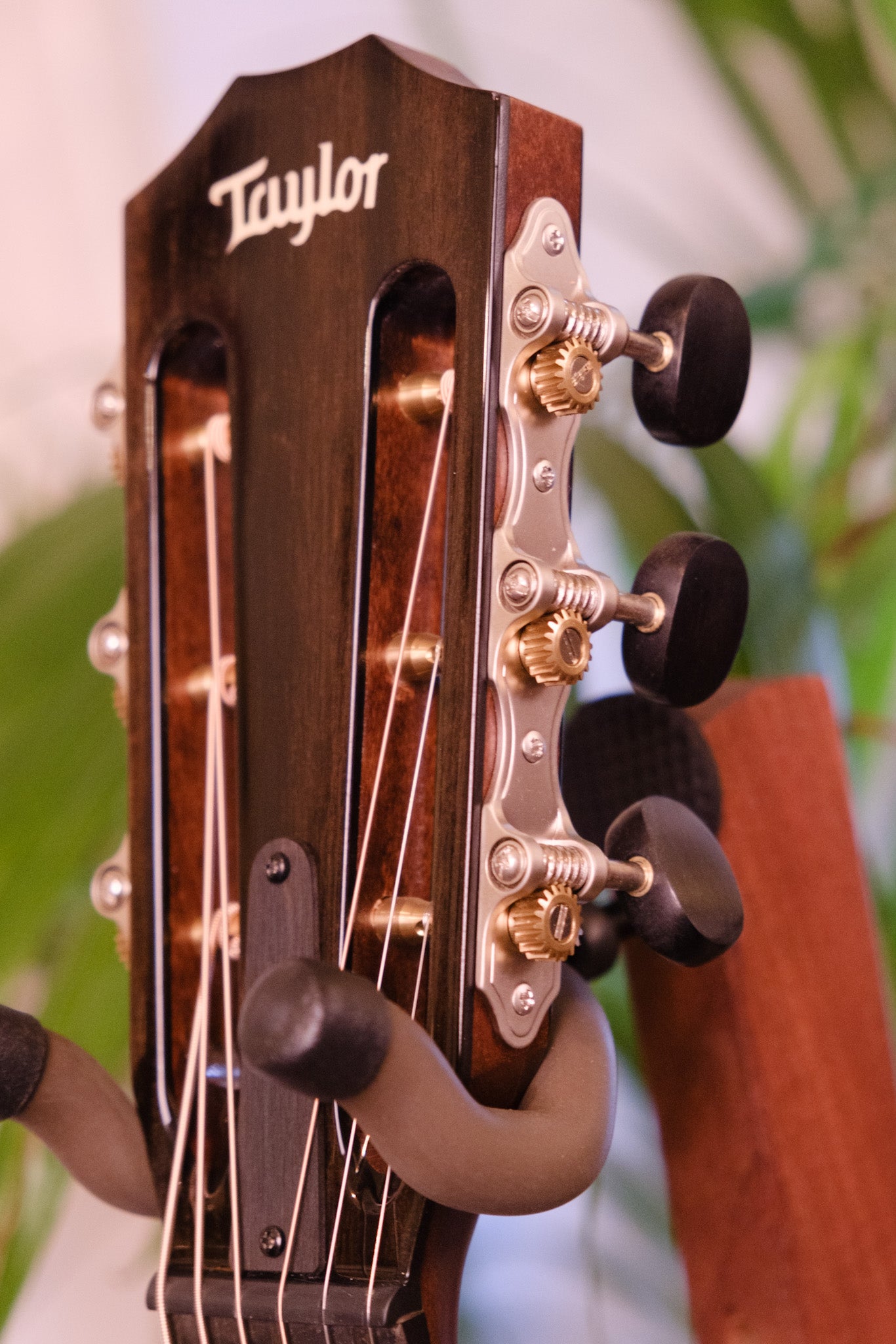 Taylor 612ce 12 Fret Grand Concert