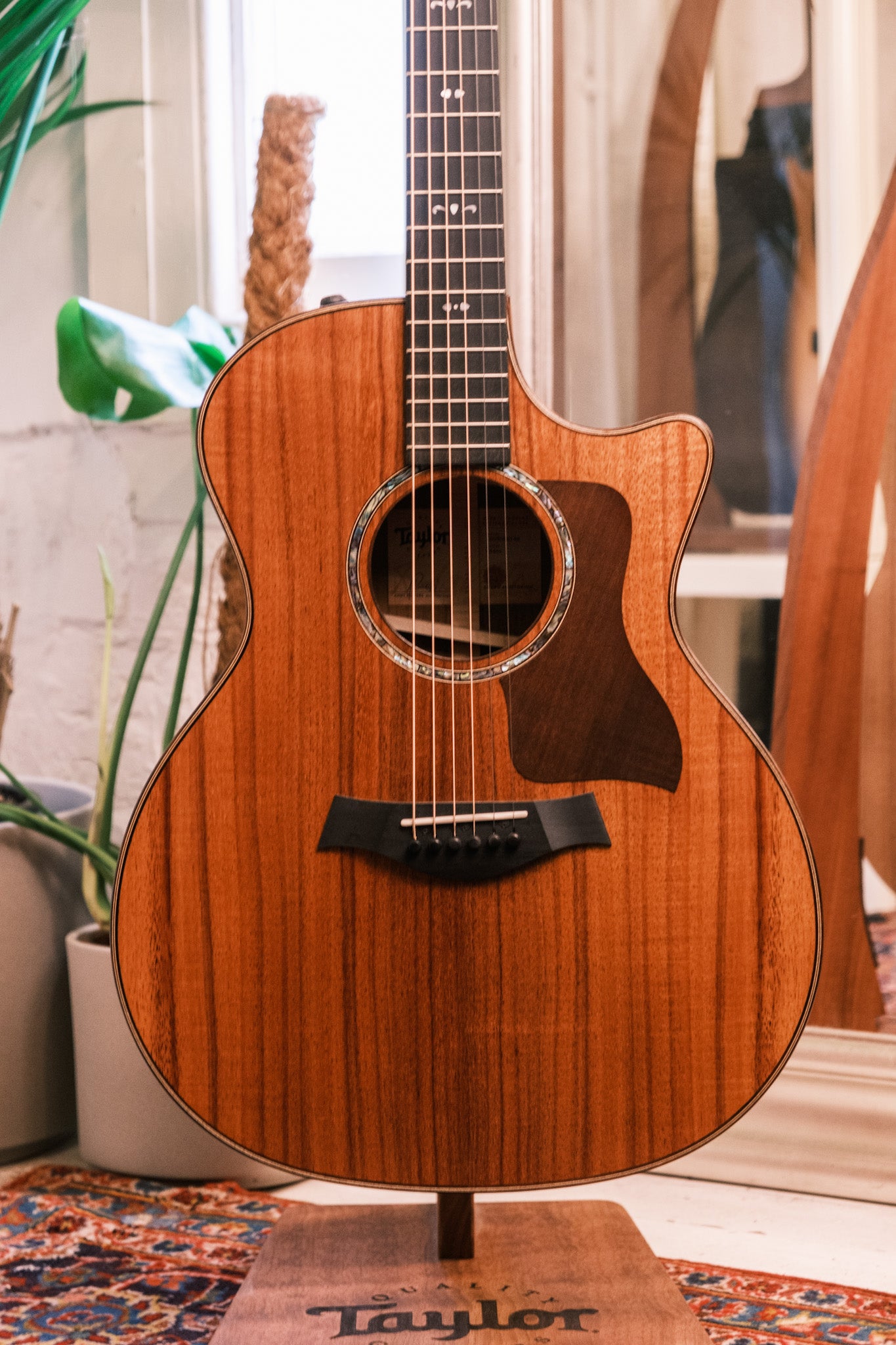 Taylor 724ce Grand Auditorium V-Class