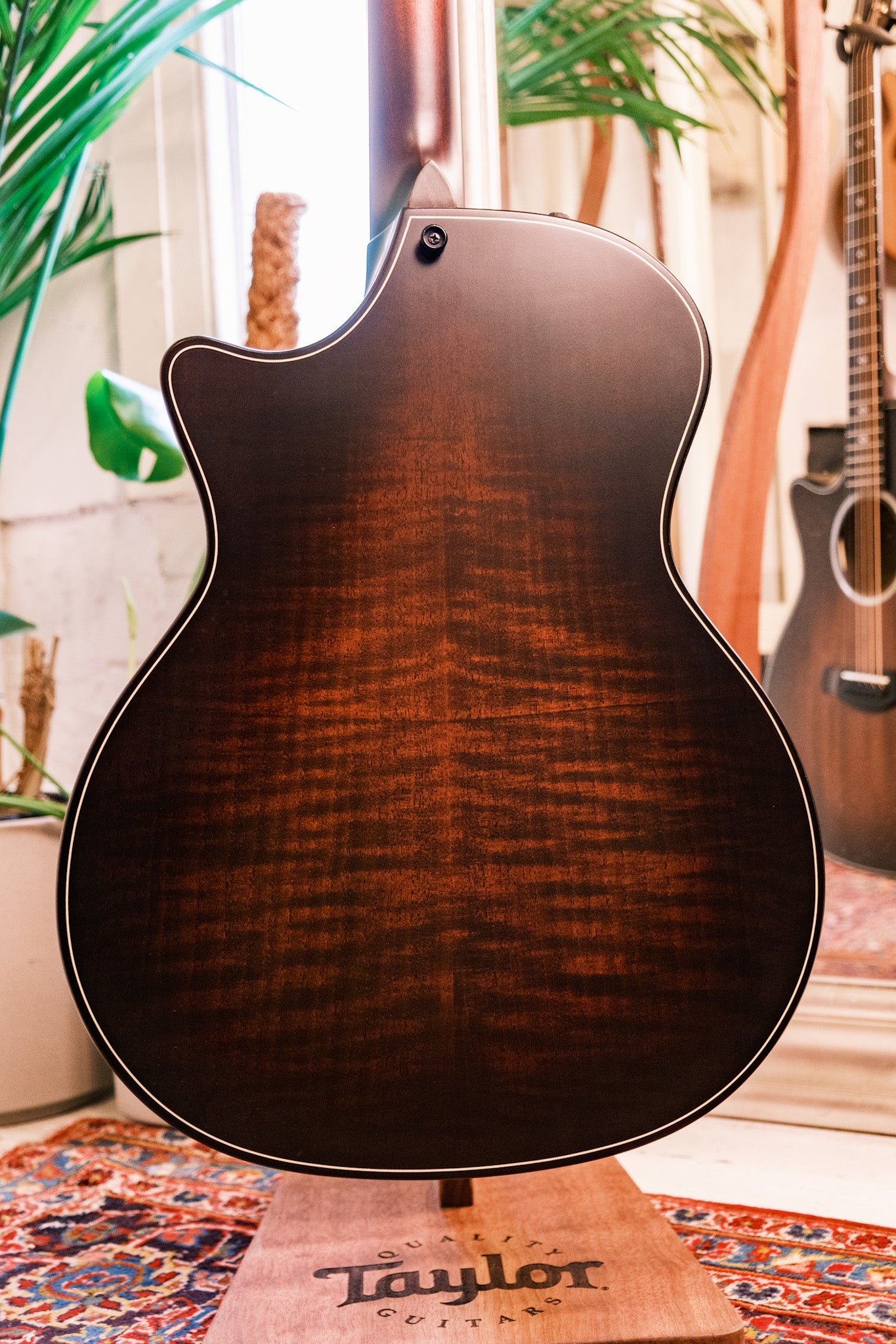 Taylor 324ce Builder's Edition