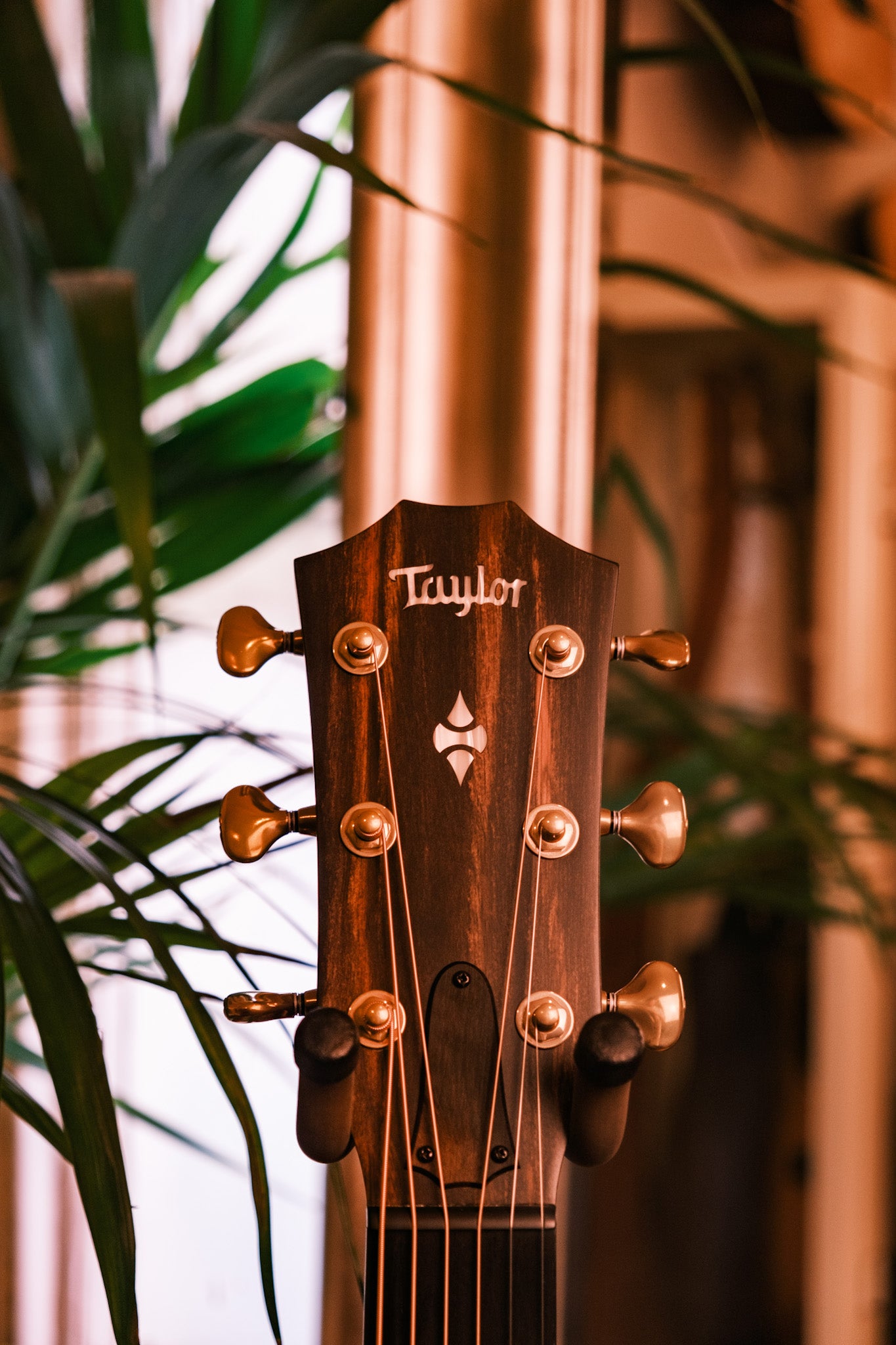 Taylor 324ce Builder's Edition