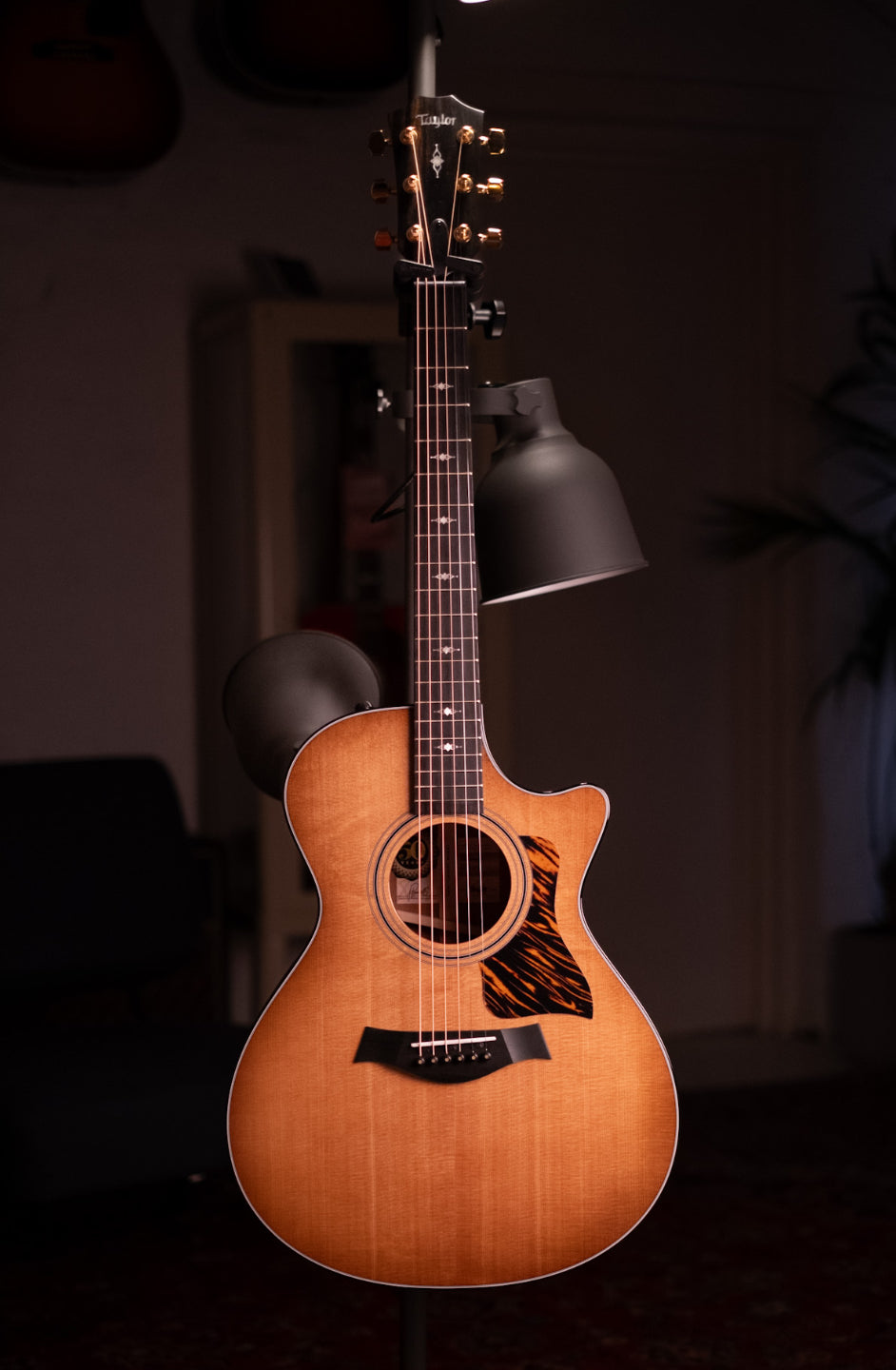 Pre-Loved Taylor 50th Anniversary 312ce Limited Edition