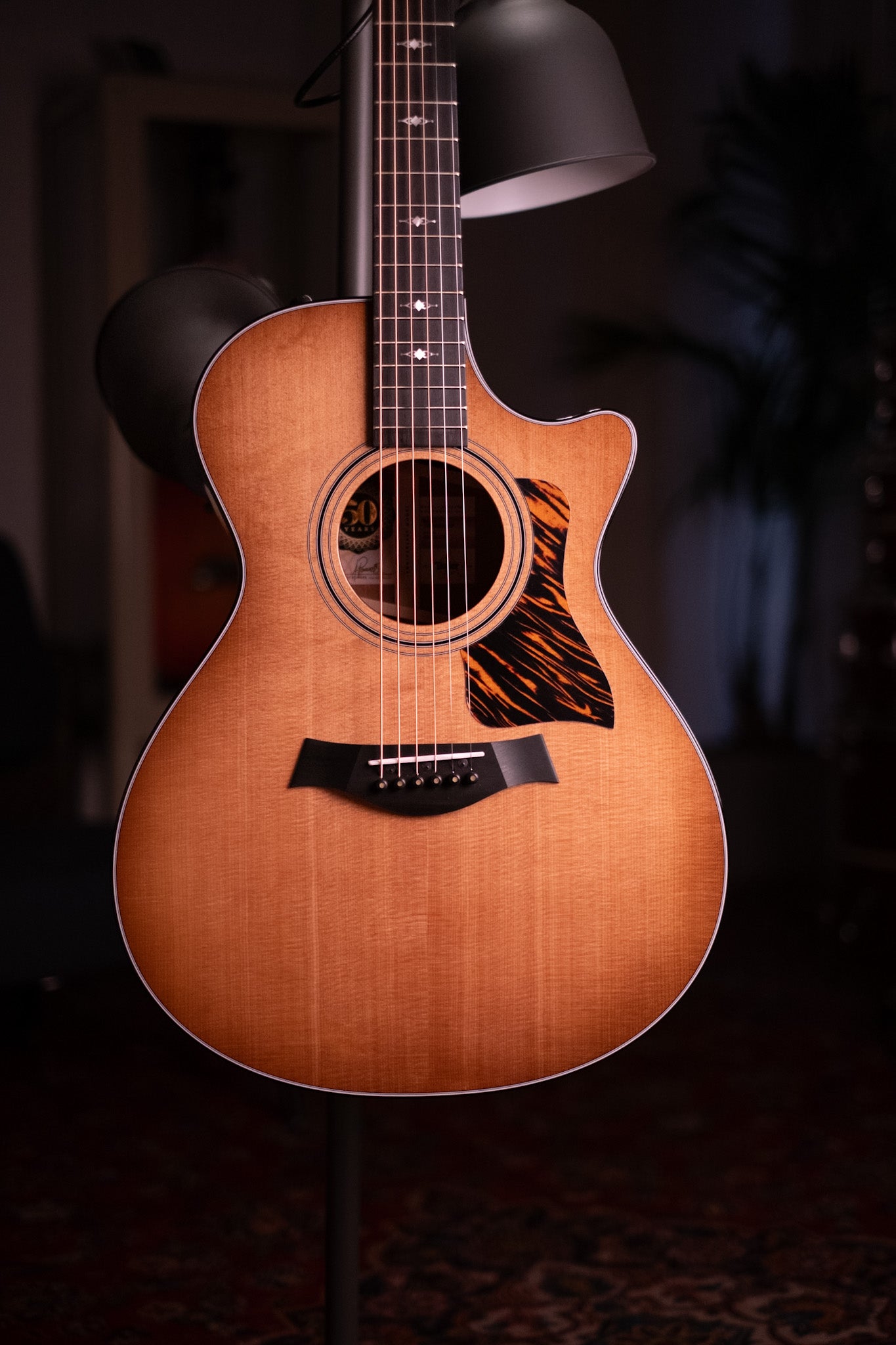 Pre-Loved Taylor 50th Anniversary 312ce Limited Edition