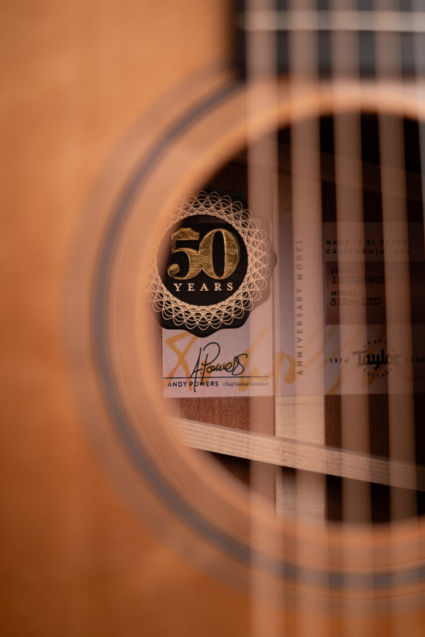 Pre-Loved Taylor 50th Anniversary 312ce Limited Edition