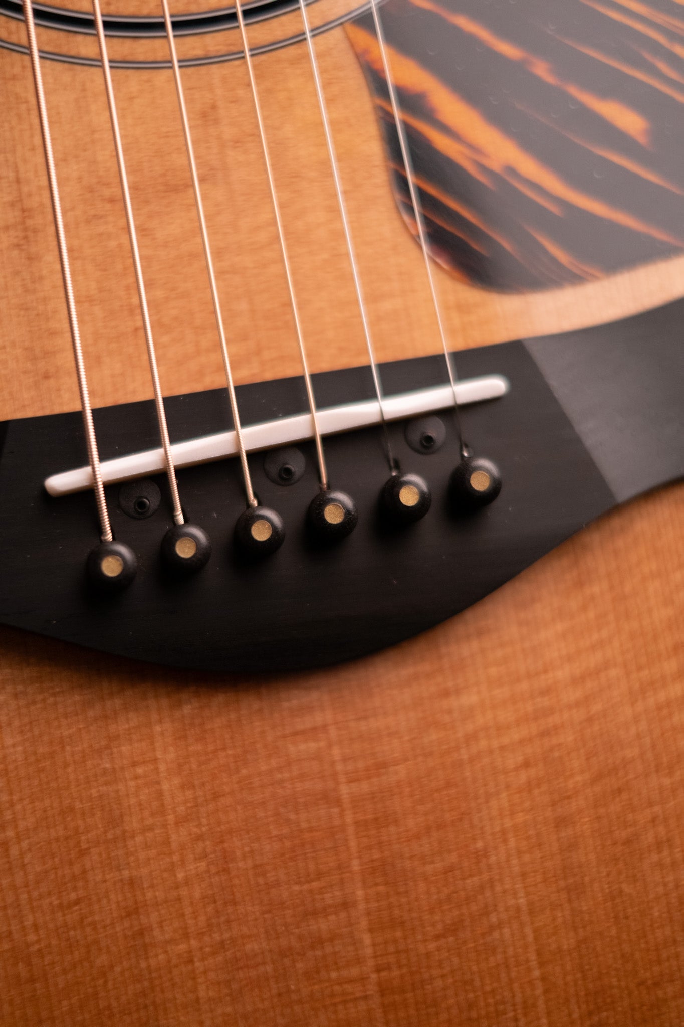 Pre-Loved Taylor 50th Anniversary 312ce Limited Edition