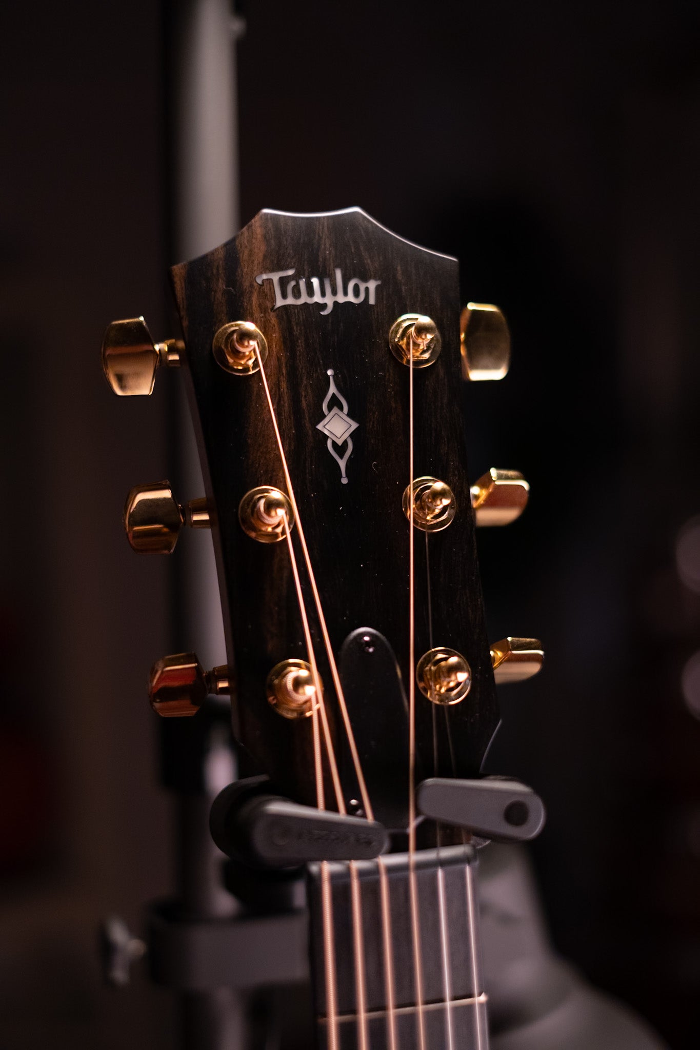 Pre-Loved Taylor 50th Anniversary 312ce Limited Edition
