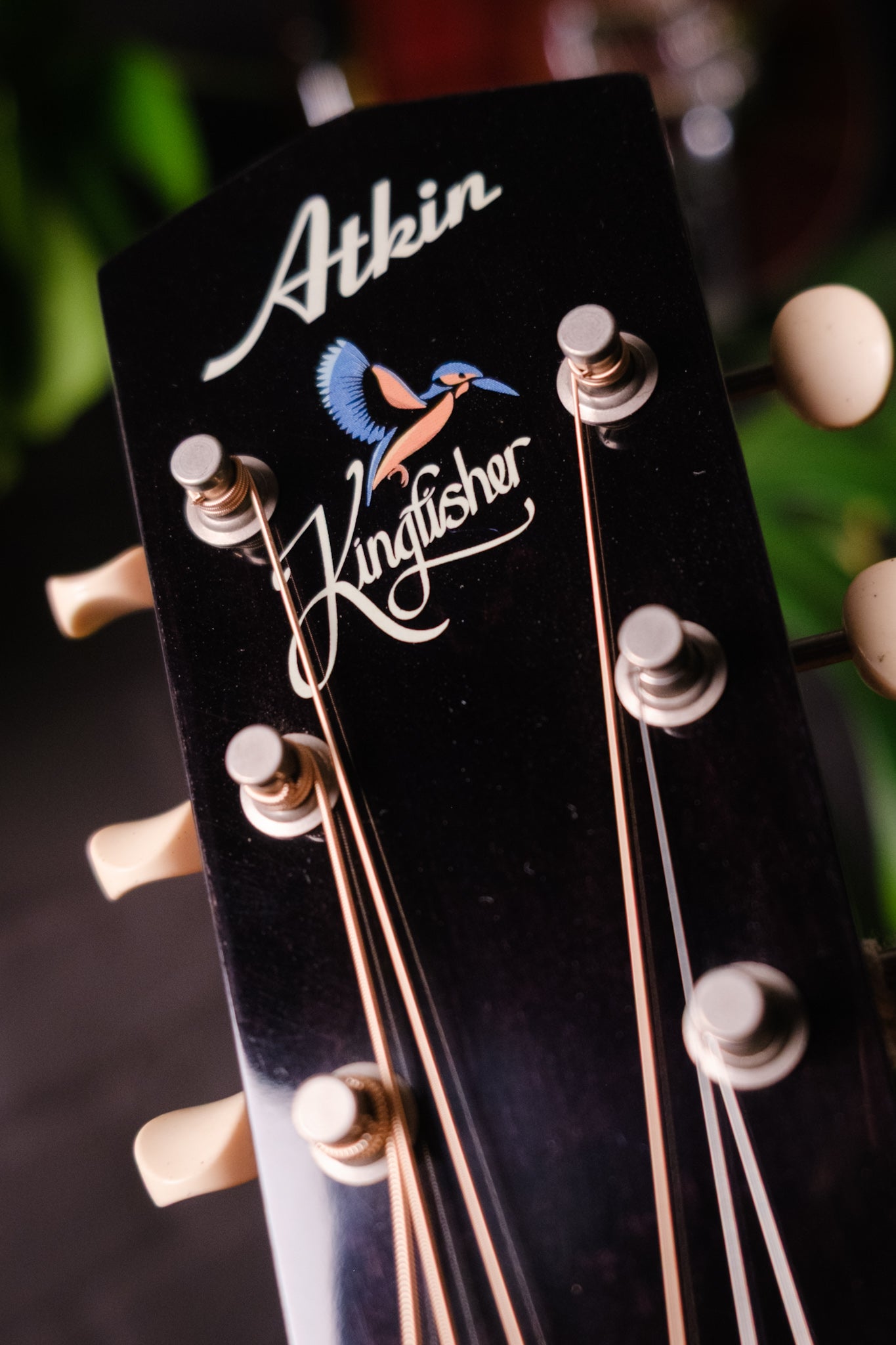 Atkin The 19 Kingfisher