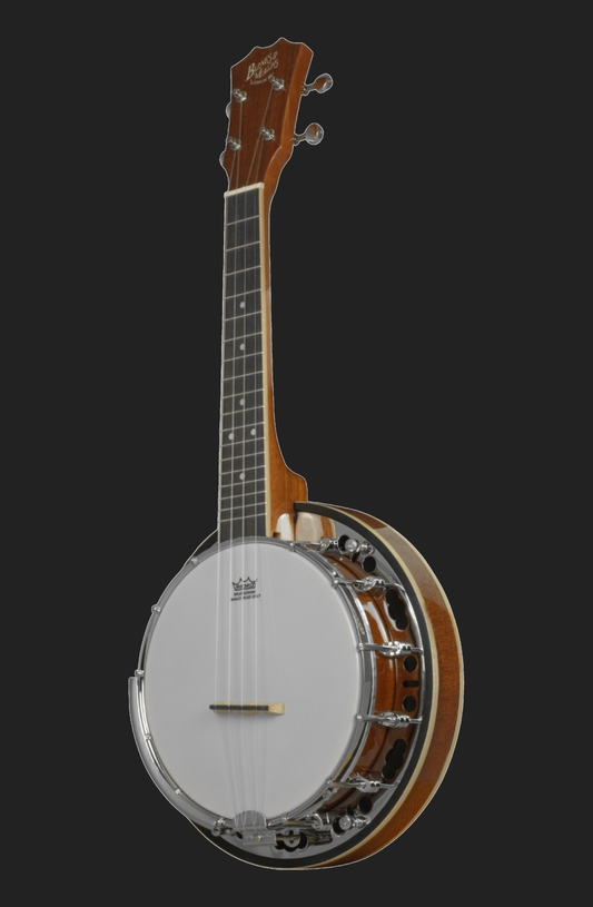 Barnes & Mullins UBJ1 Banjolele