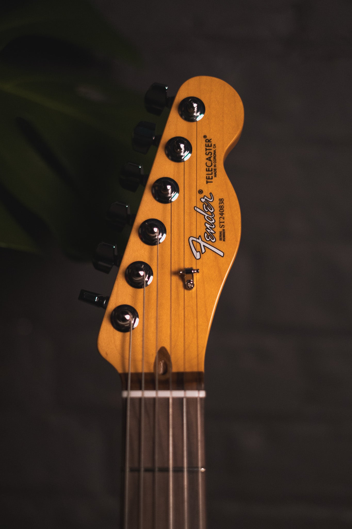 Fender Susan Tedeschi Telecaster, Aged Caribbean Mist