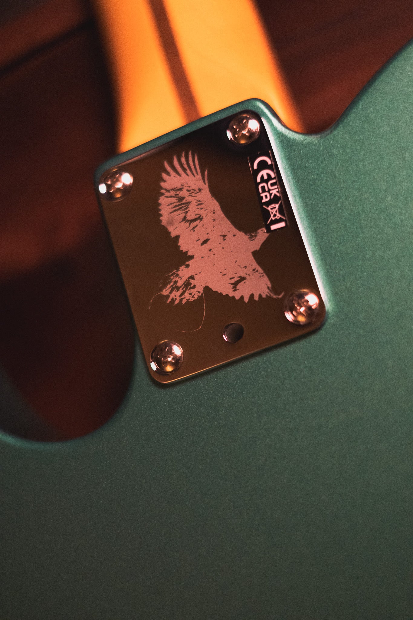 Fender Susan Tedeschi Telecaster, Aged Caribbean Mist