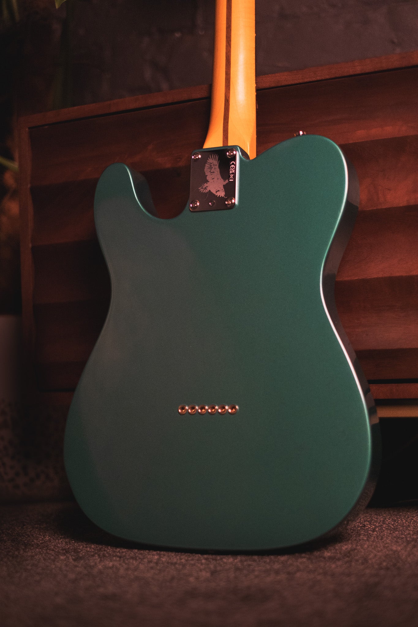 Fender Susan Tedeschi Telecaster, Aged Caribbean Mist