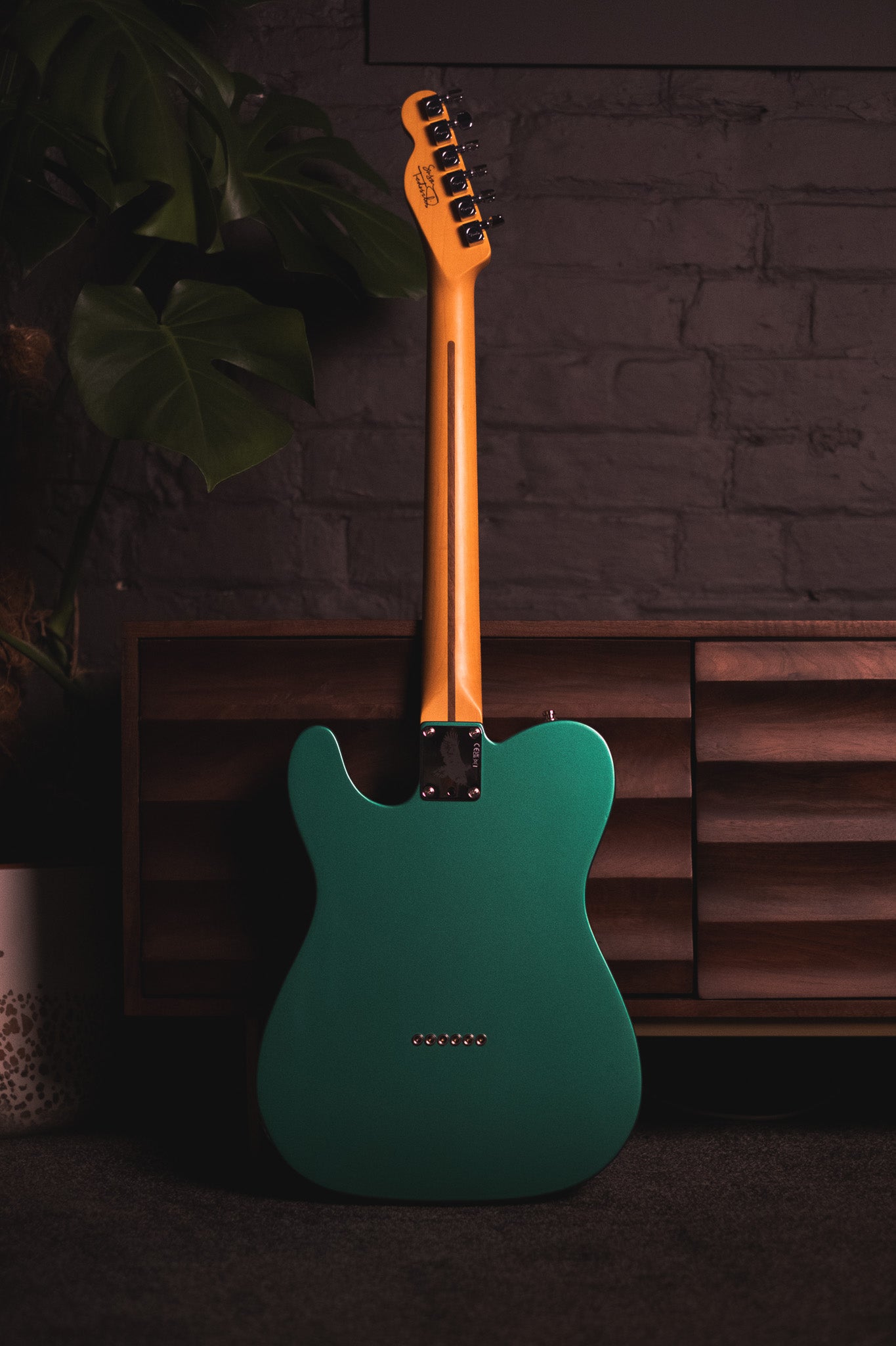 Fender Susan Tedeschi Telecaster, Aged Caribbean Mist