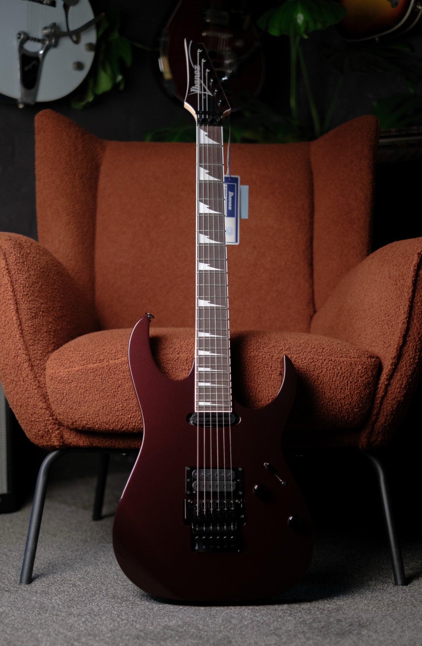 Ibanez RG565R, Vampire Kiss