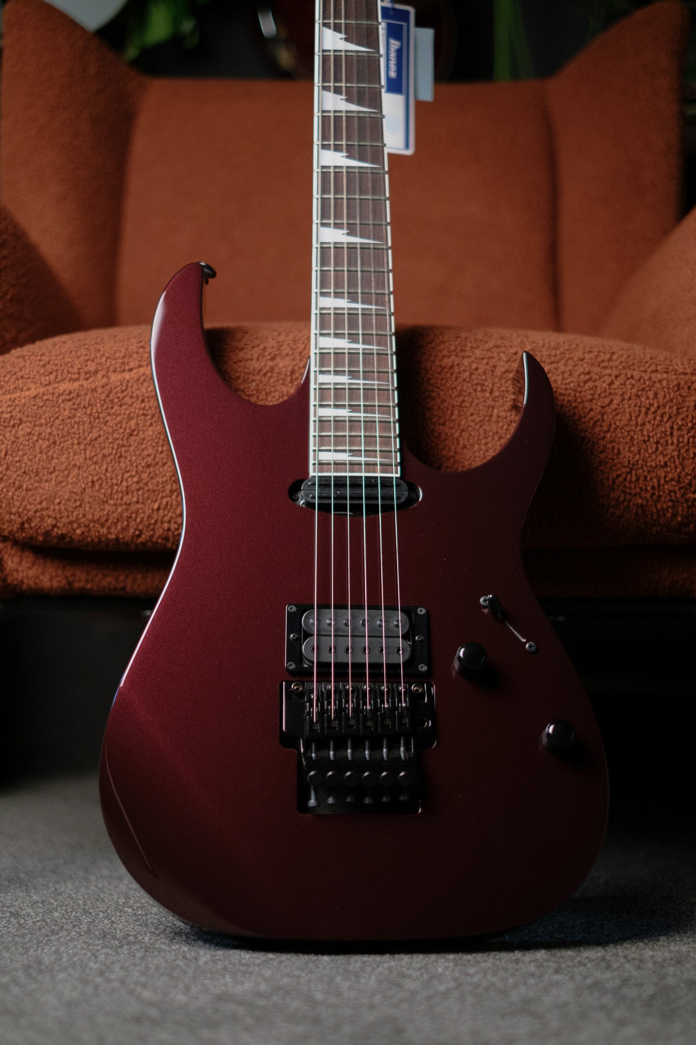 Ibanez RG565R, Vampire Kiss