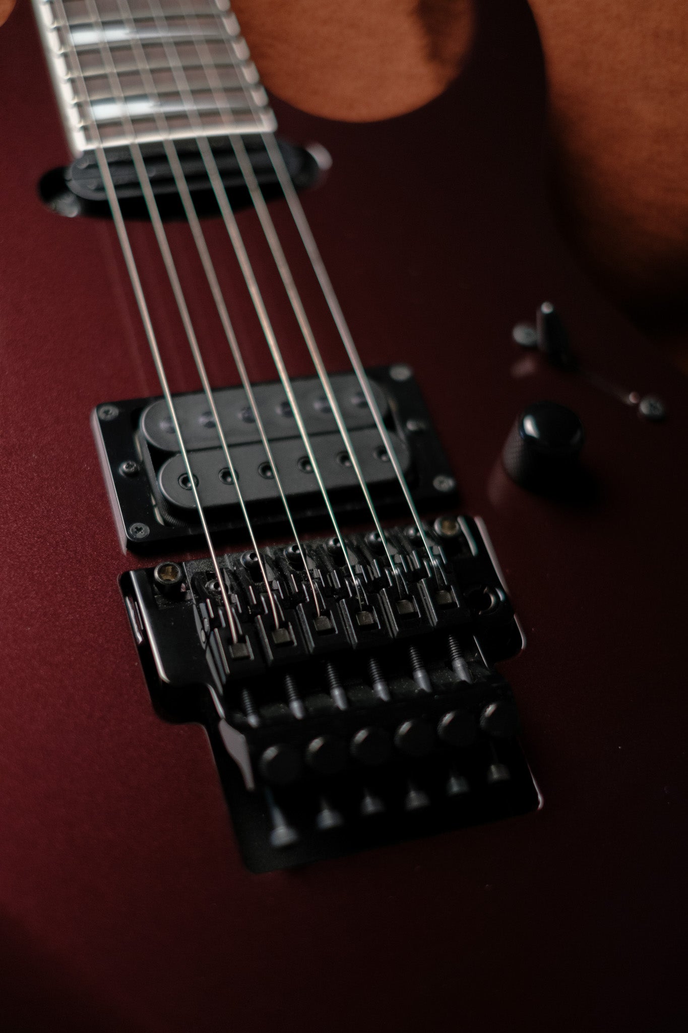 Ibanez RG565R, Vampire Kiss
