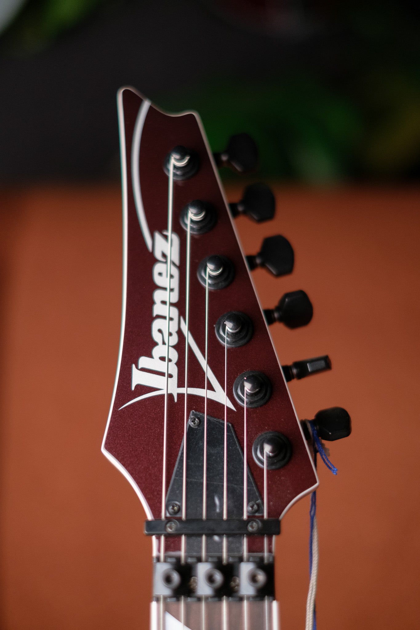 Ibanez RG565R, Vampire Kiss