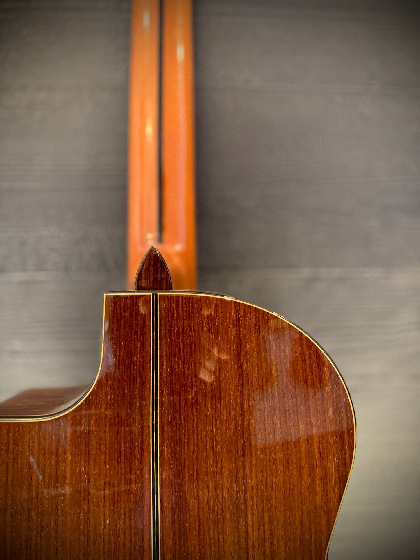 PRE-LOVED Admira Teresa EC Nylon String
