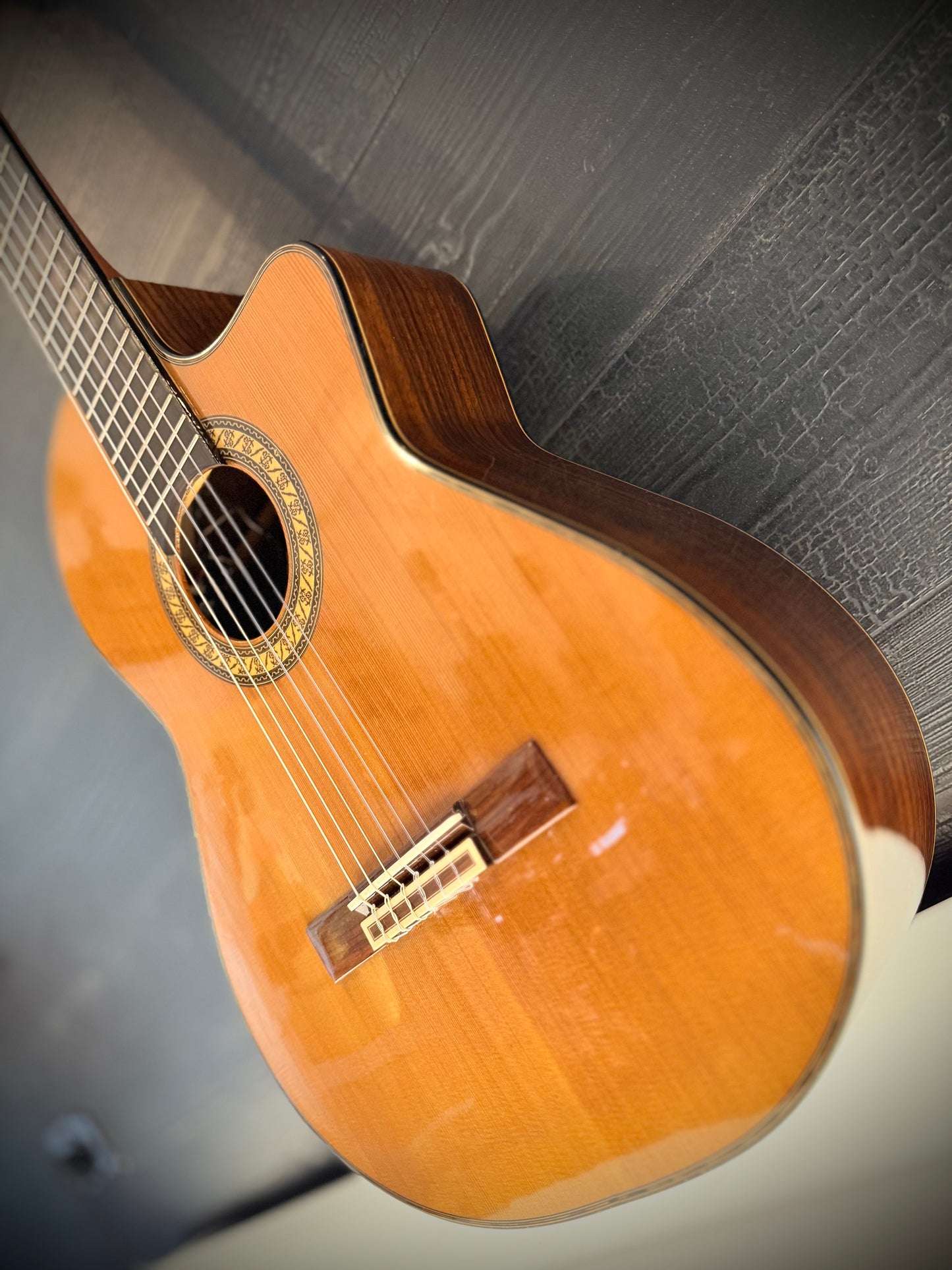 PRE-LOVED Admira Teresa EC Nylon String