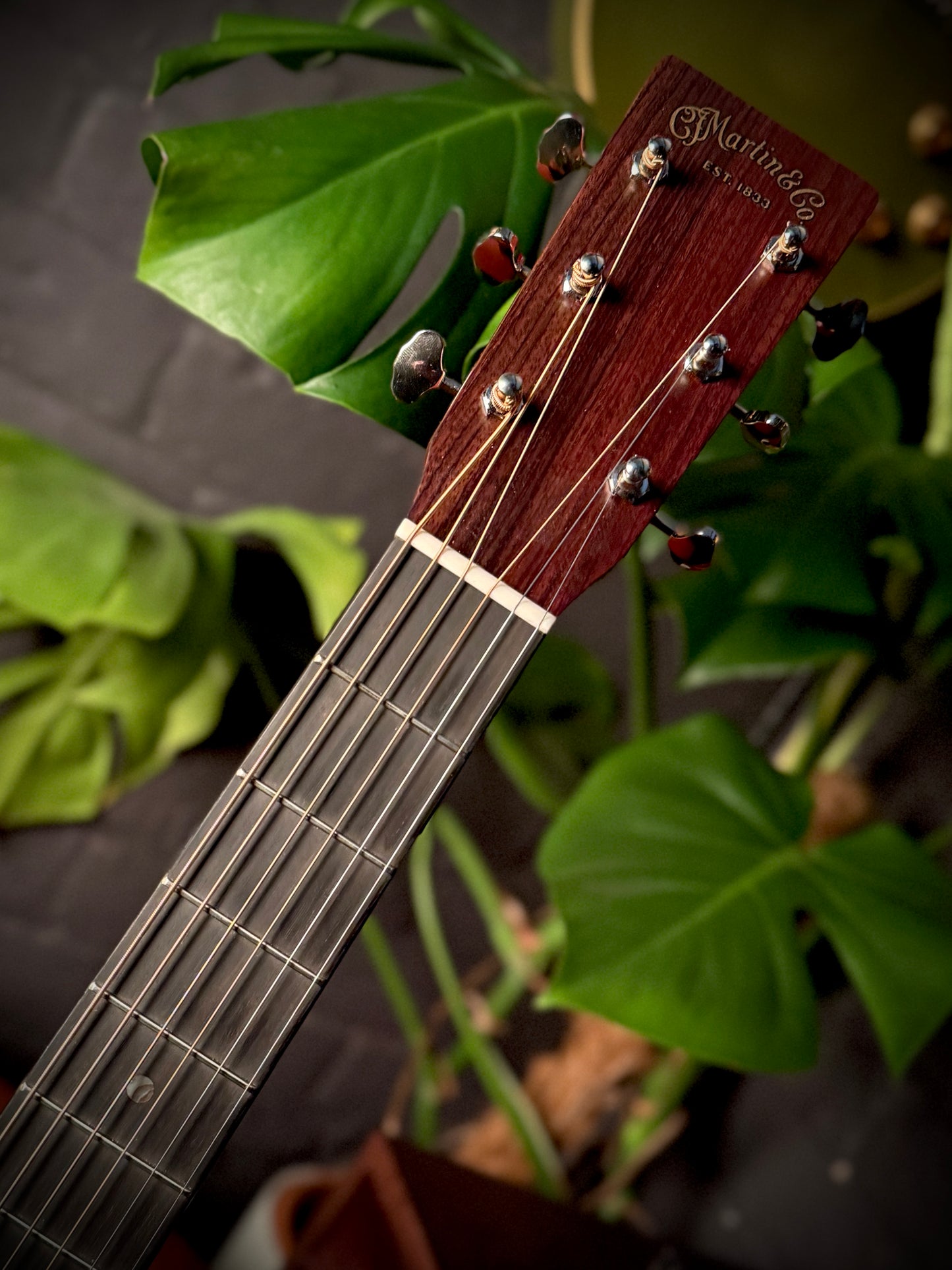 PRE LOVED Martin Custom Shop 0-14 Fret