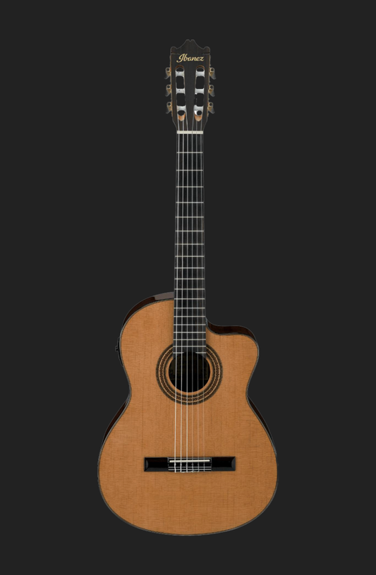 Ibanez GA6CE-AM Classical Electro-Acoustic