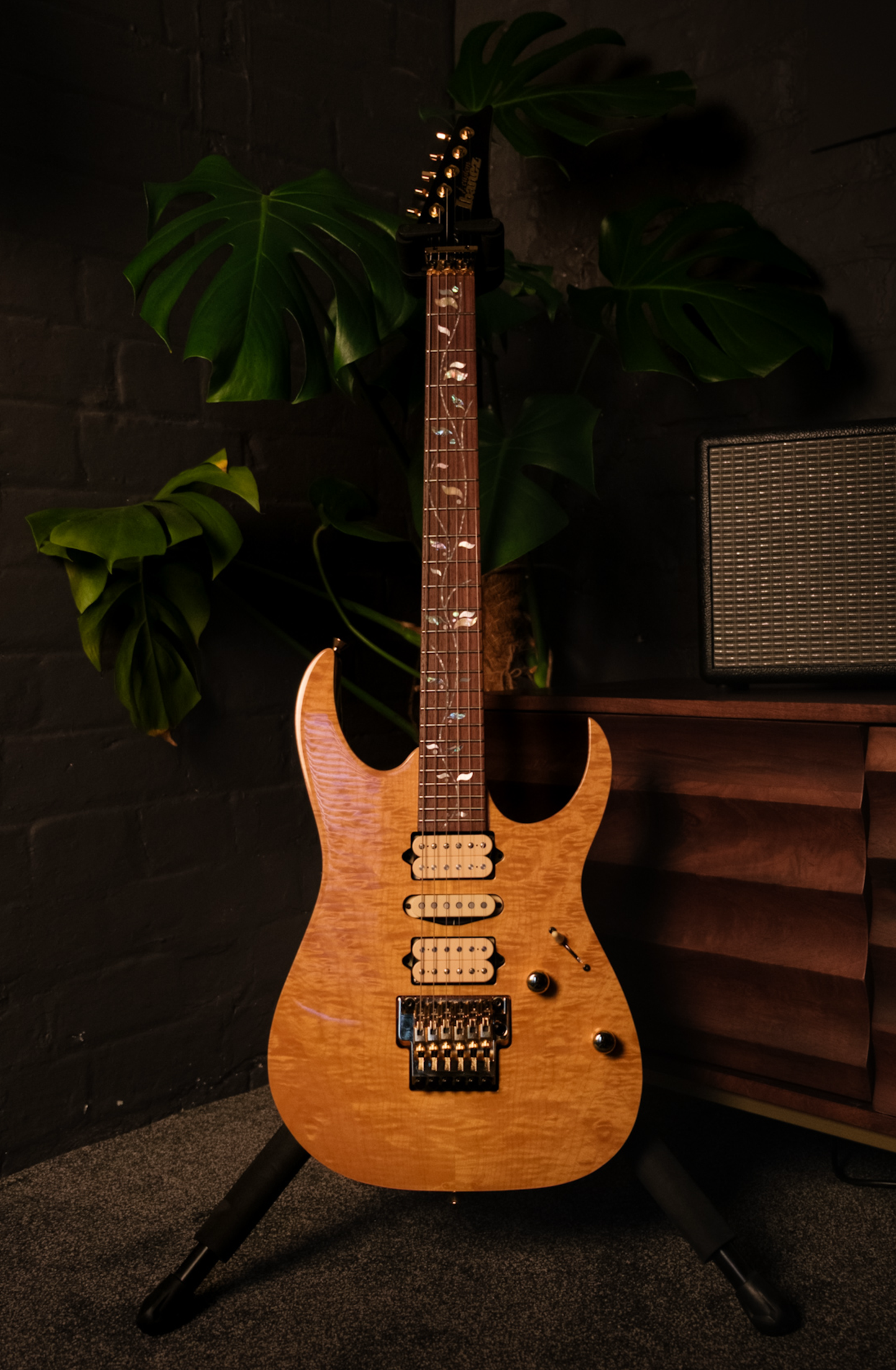 Ibanez J Custom RG8570EM-NT, Natural