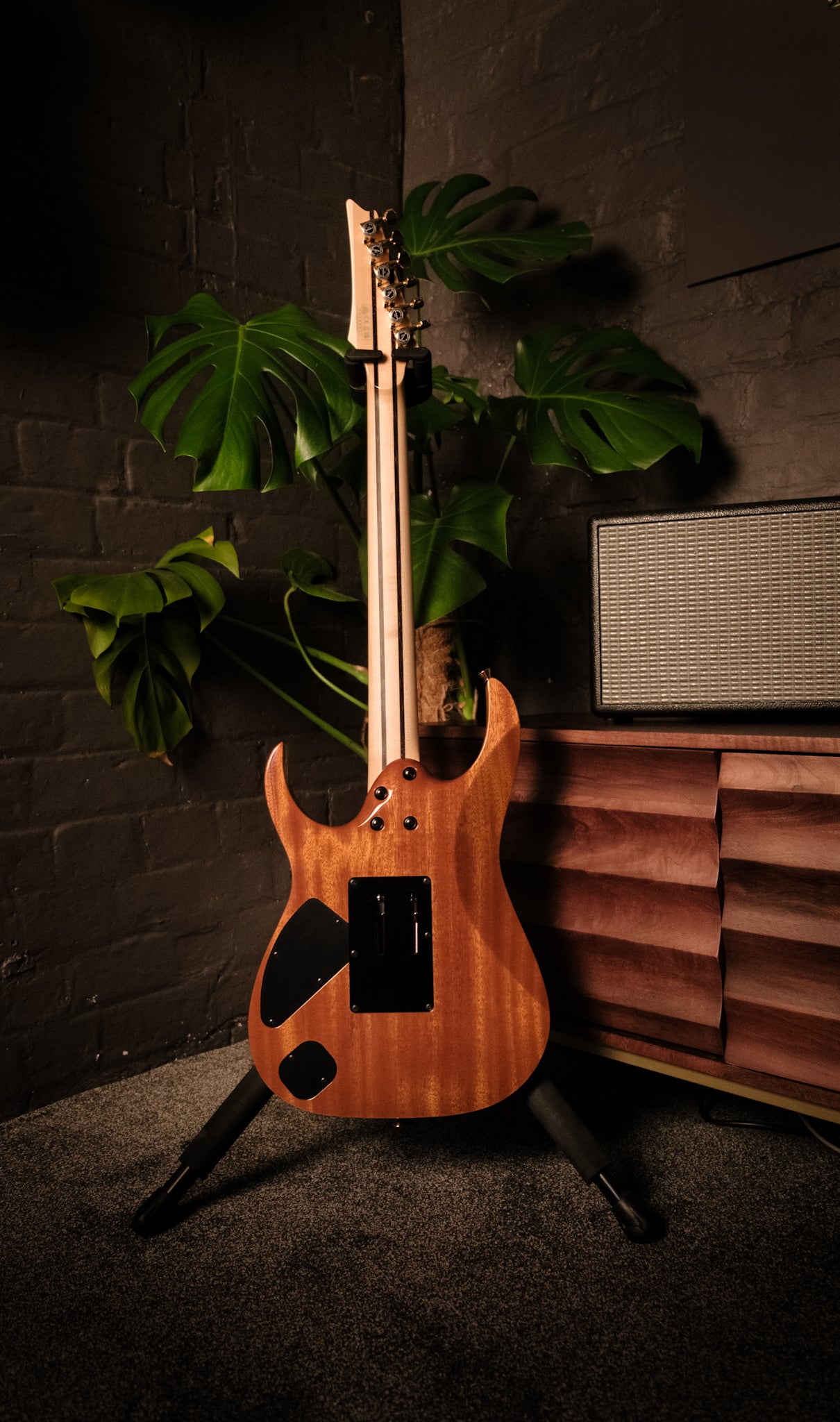 Ibanez J Custom RG8570EM-NT, Natural