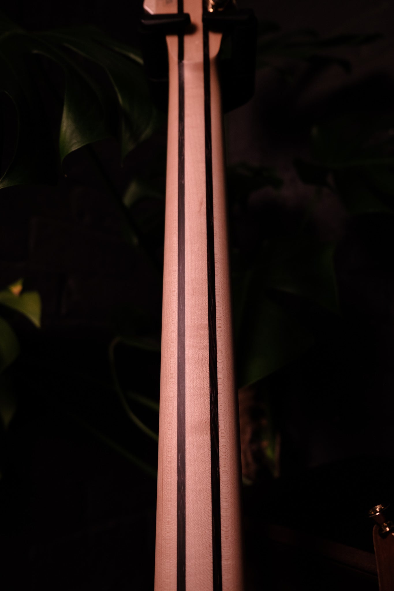 Ibanez J Custom RG8570EM-NT, Natural