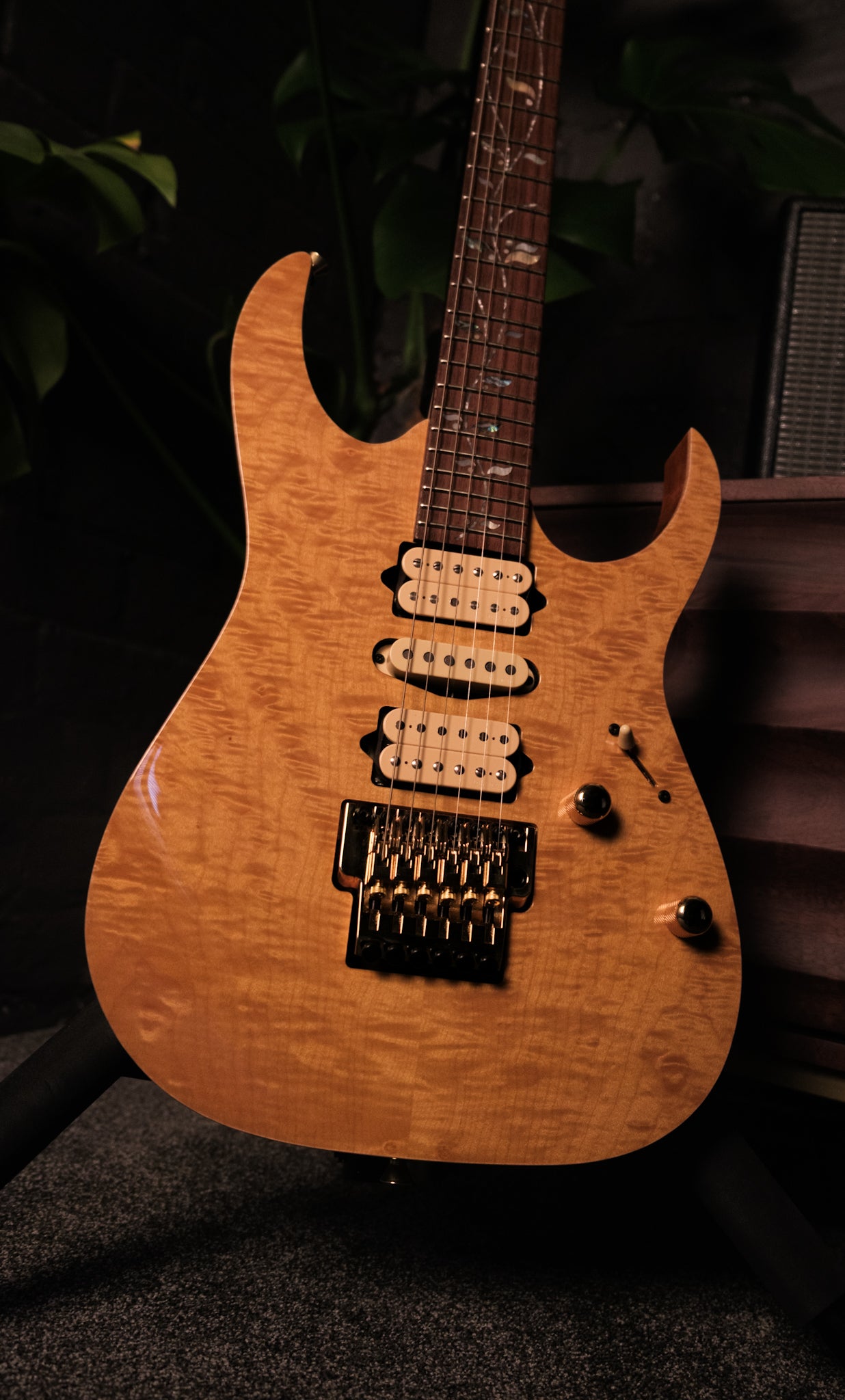 Ibanez J Custom RG8570EM-NT, Natural