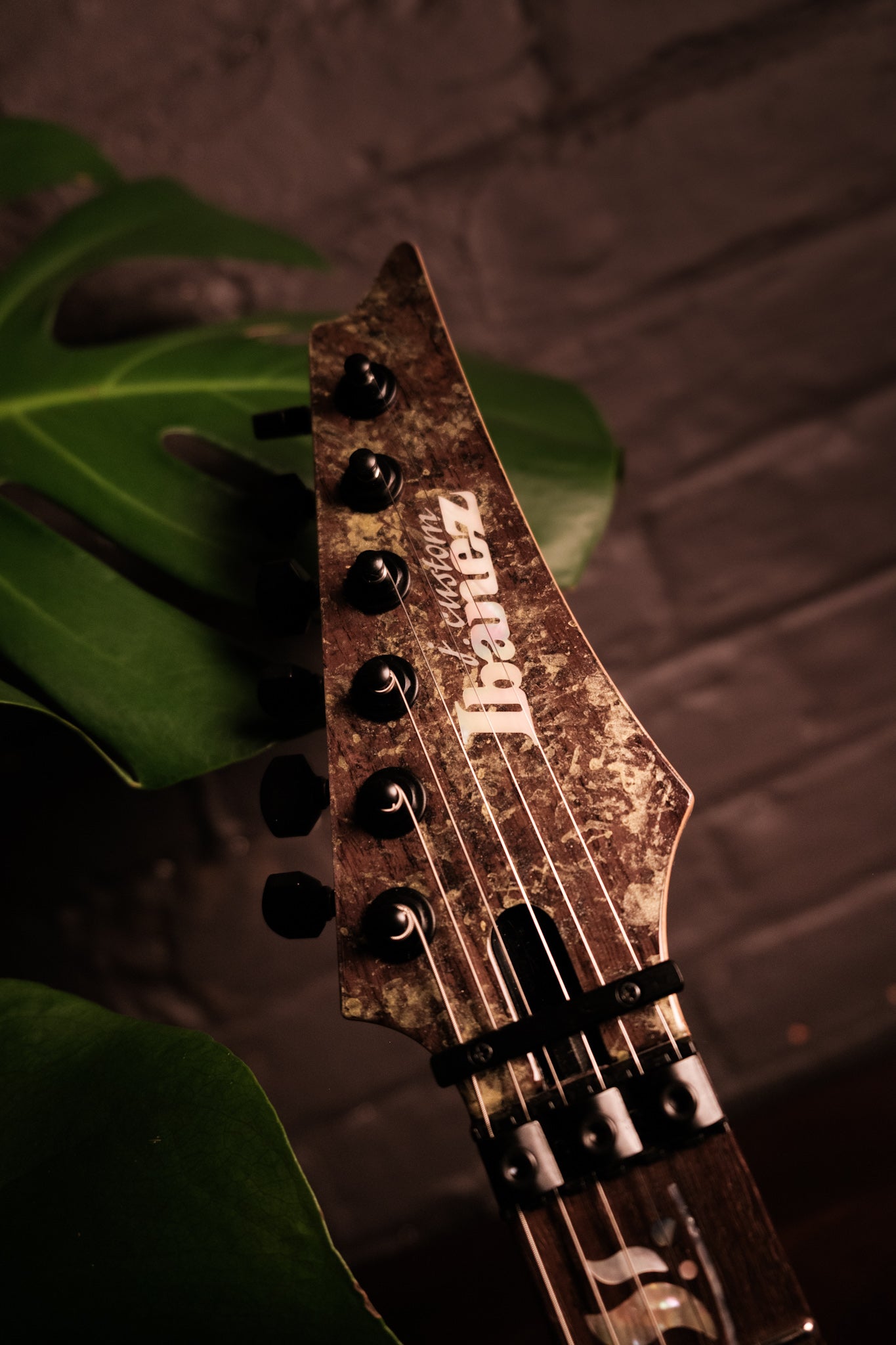 Ibanez J Custom RG8620AH-BQZ, Black Quartz