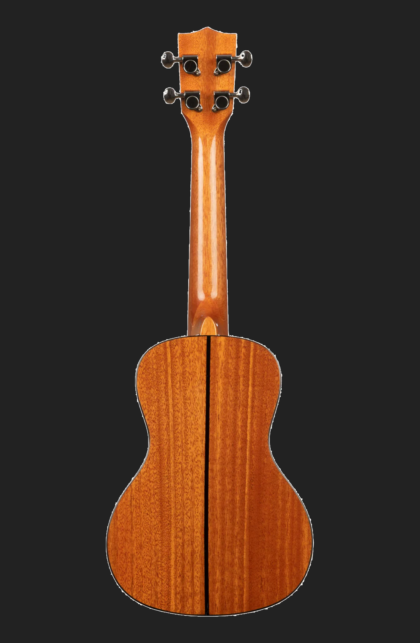 Kala KA-SCG Concert Ukulele